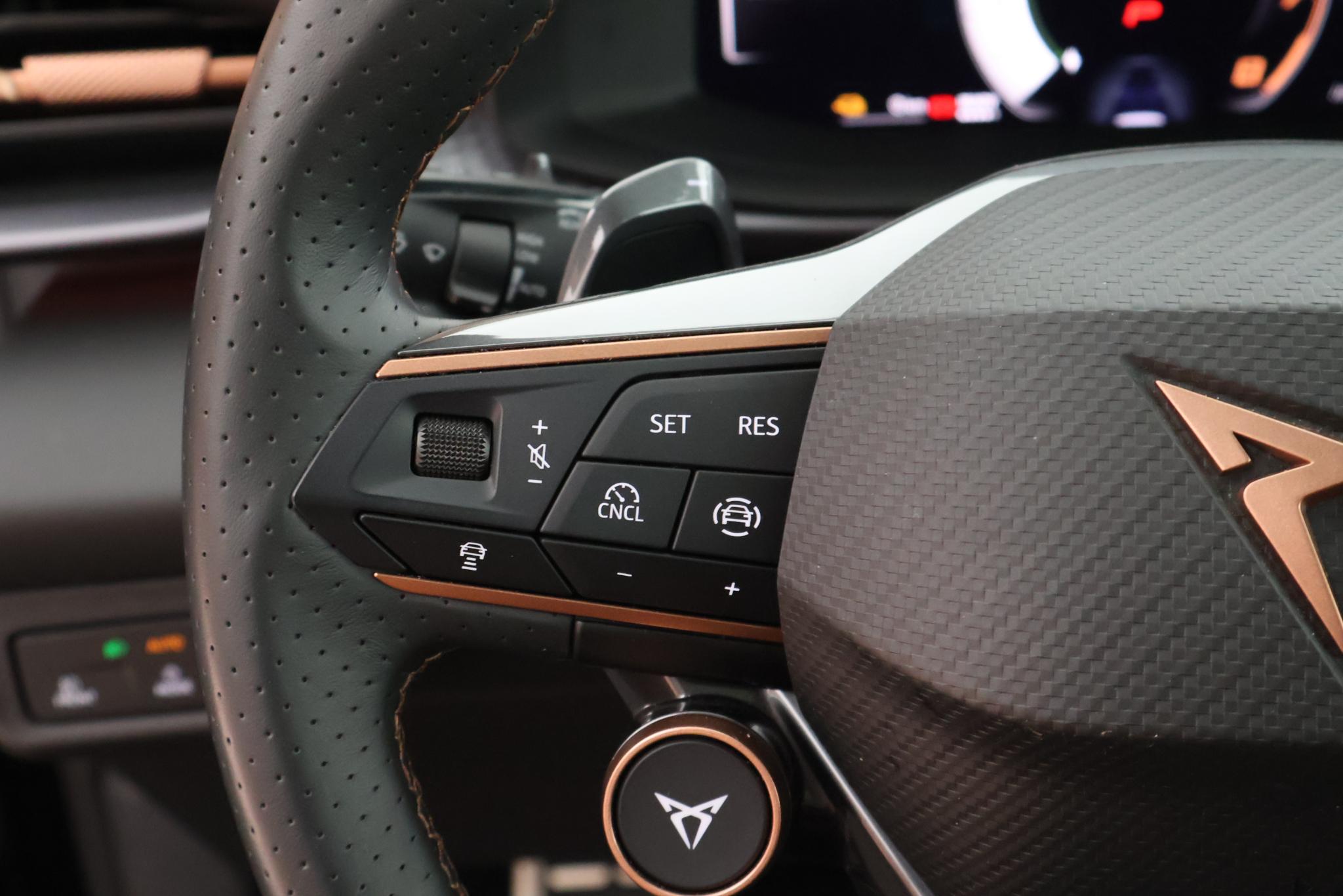 Foto van Cupra Terramar