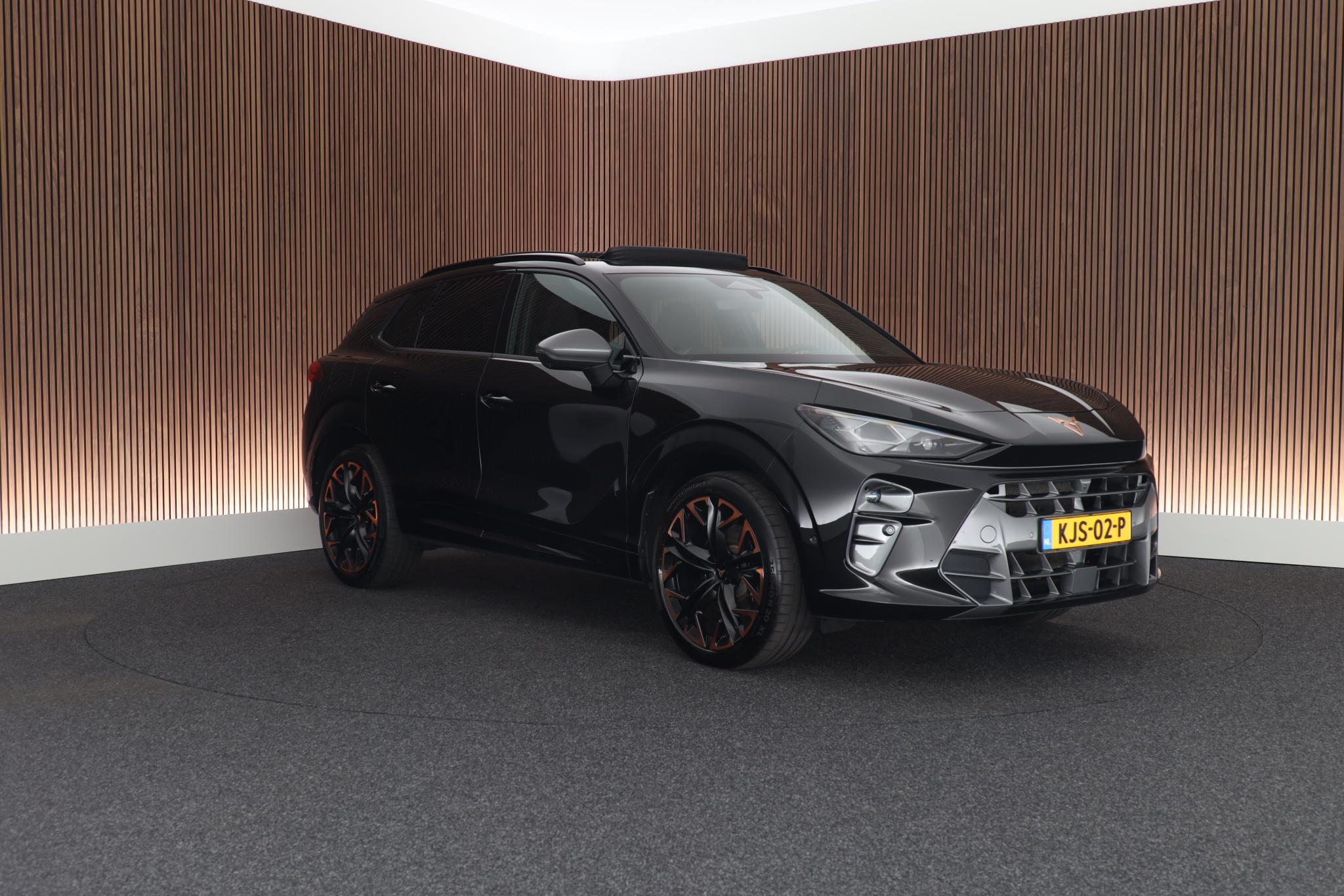 Foto van Cupra Terramar