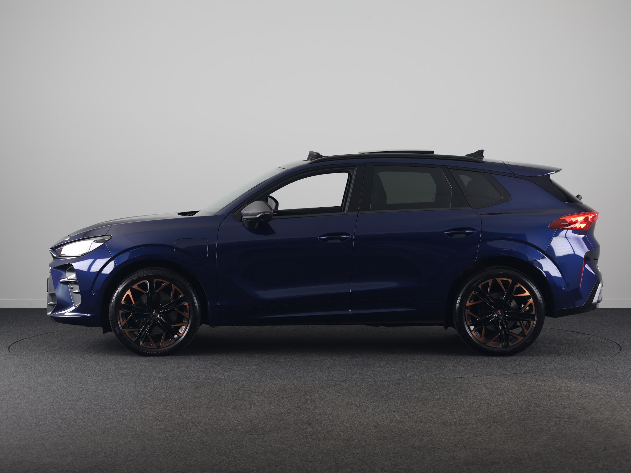 Foto van Cupra Terramar