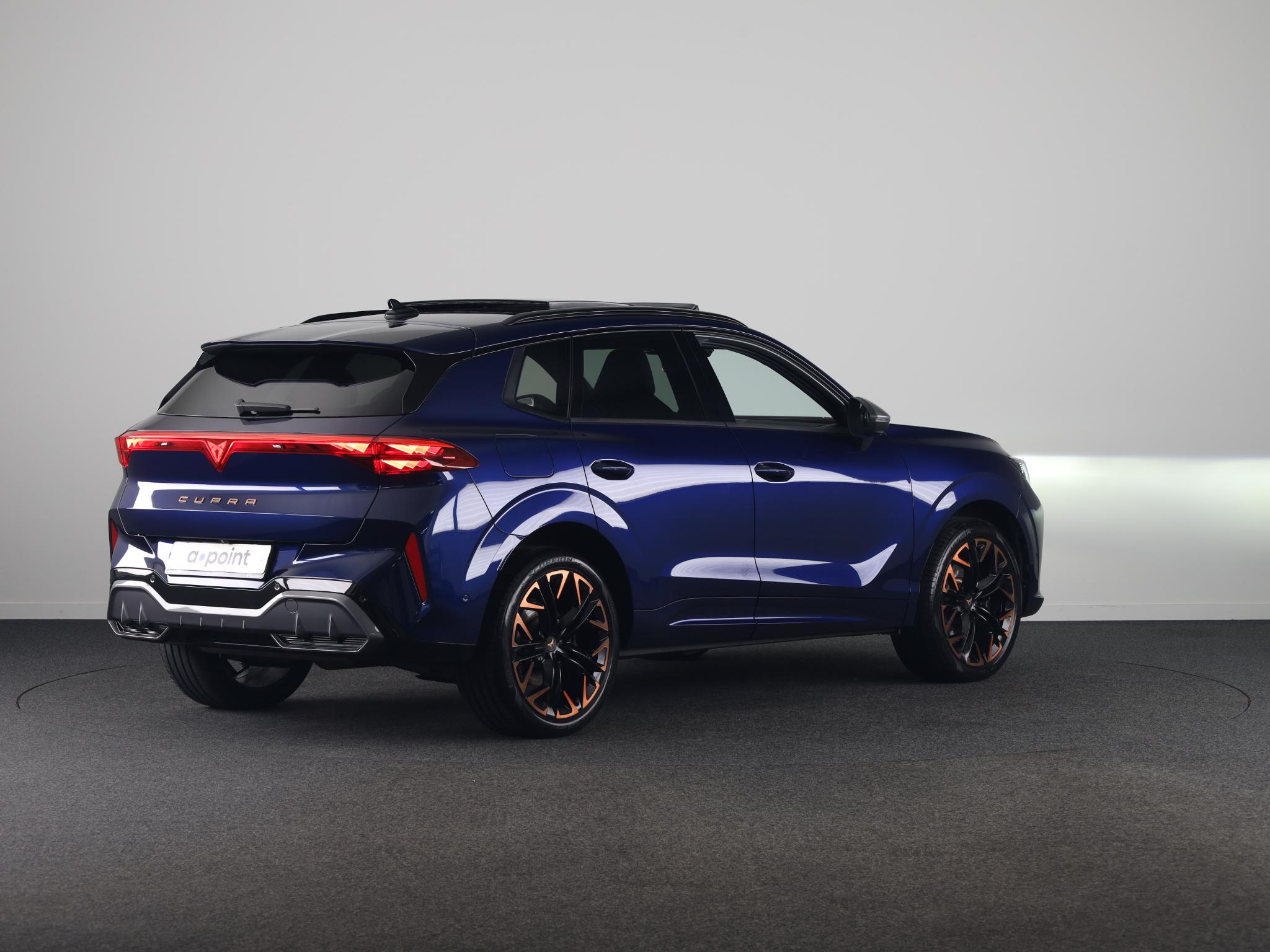 Foto van Cupra Terramar