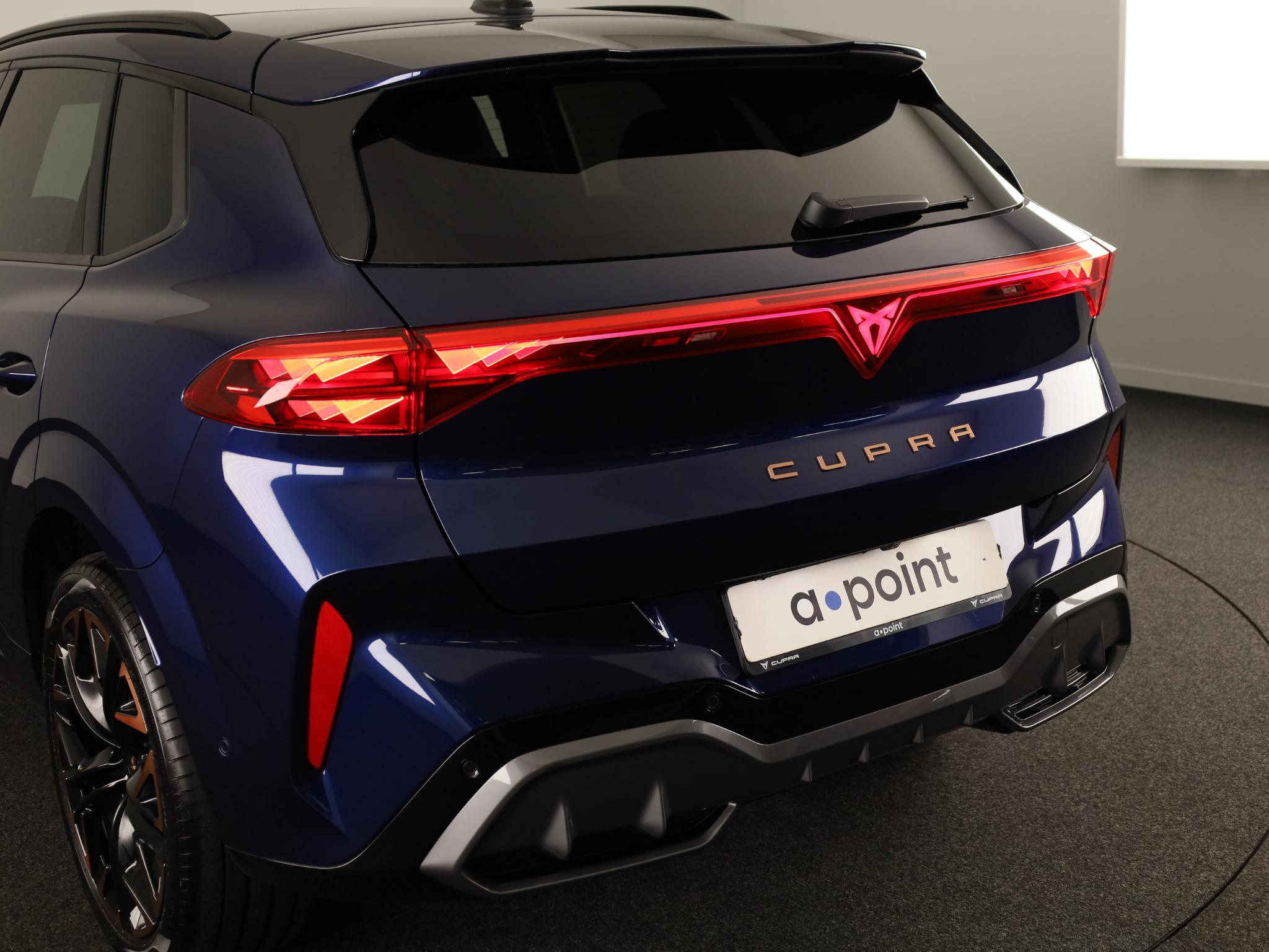 Foto van Cupra Terramar