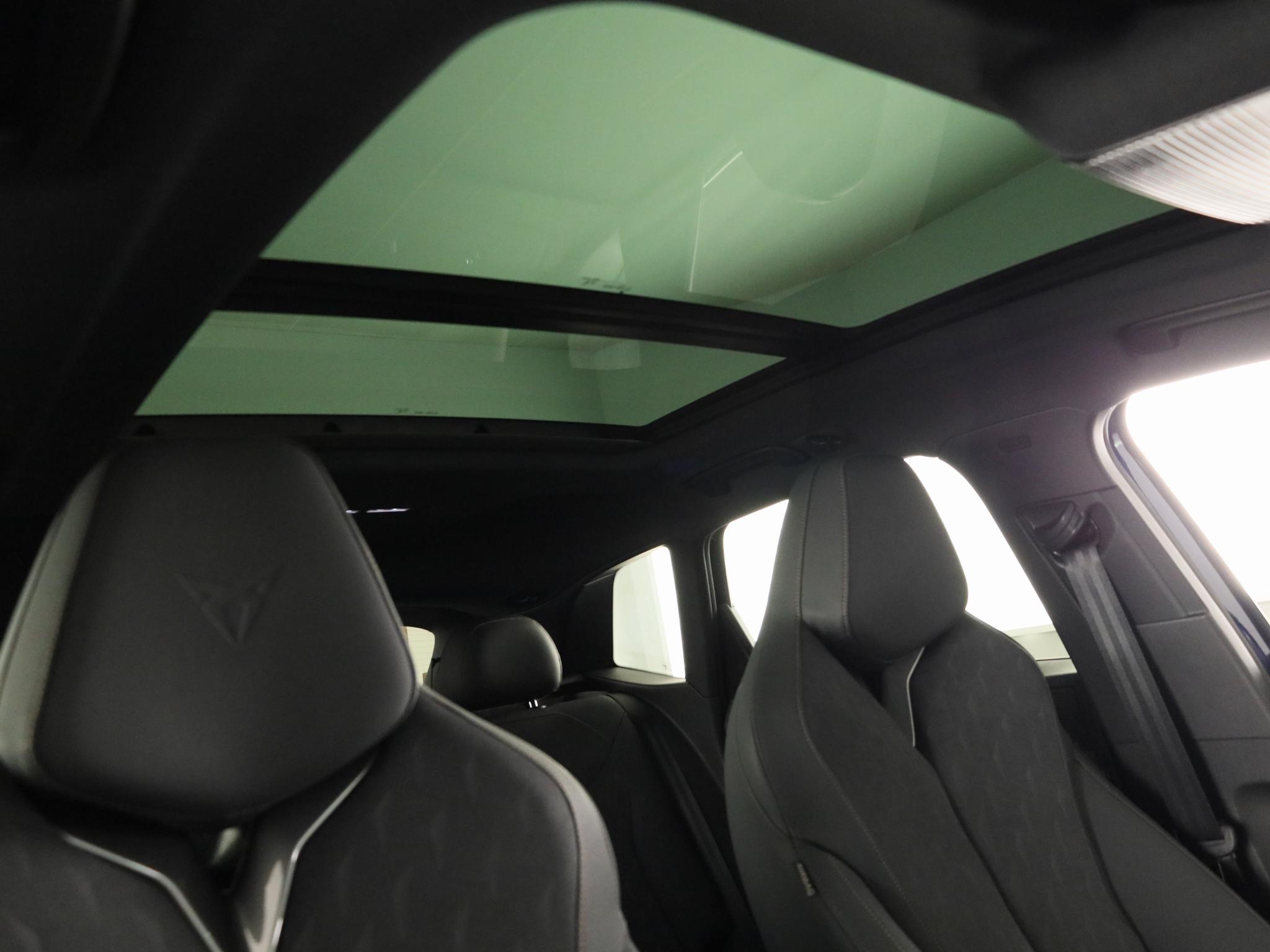 Foto van Cupra Terramar