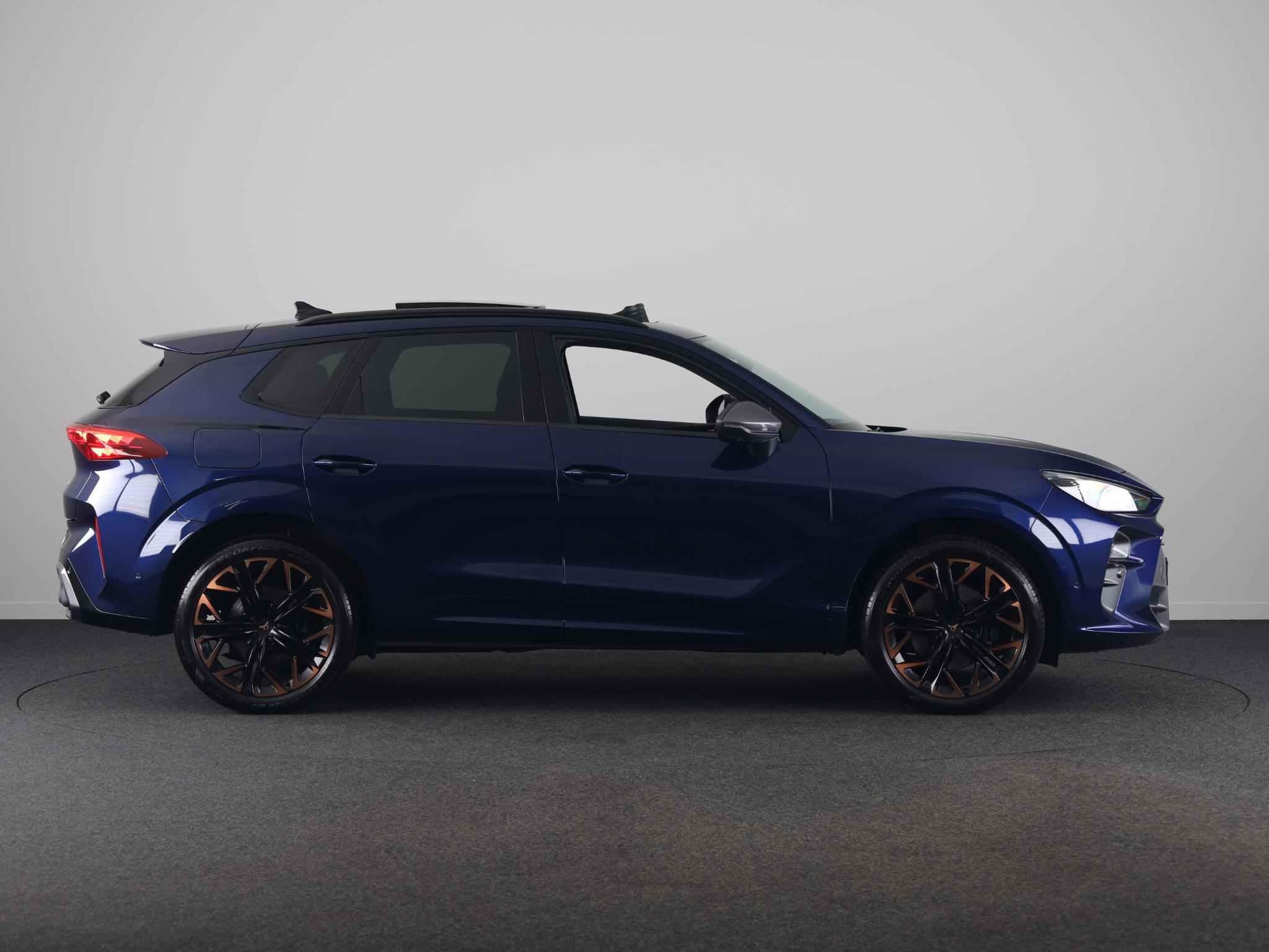 Foto van Cupra Terramar