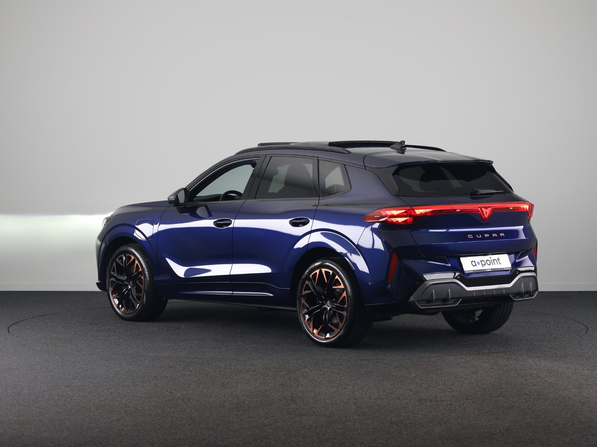 Foto van Cupra Terramar