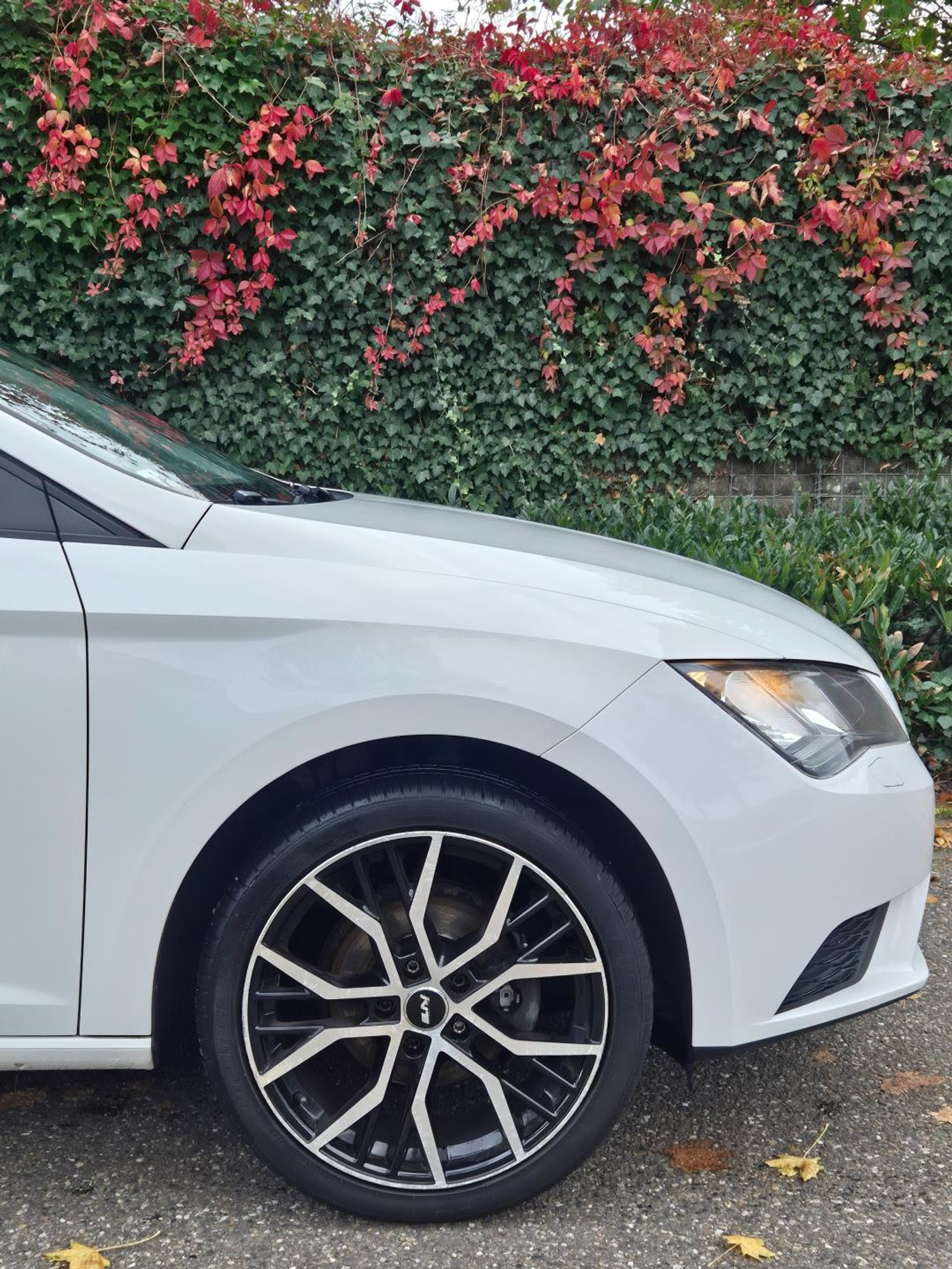 Foto van Seat Leon SC
