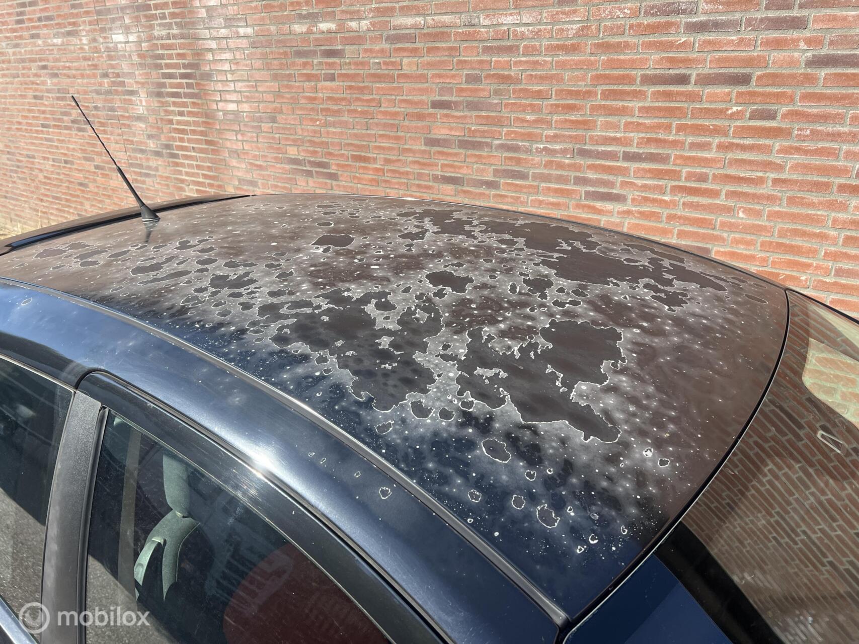 Foto van Fiat Fiat Punto