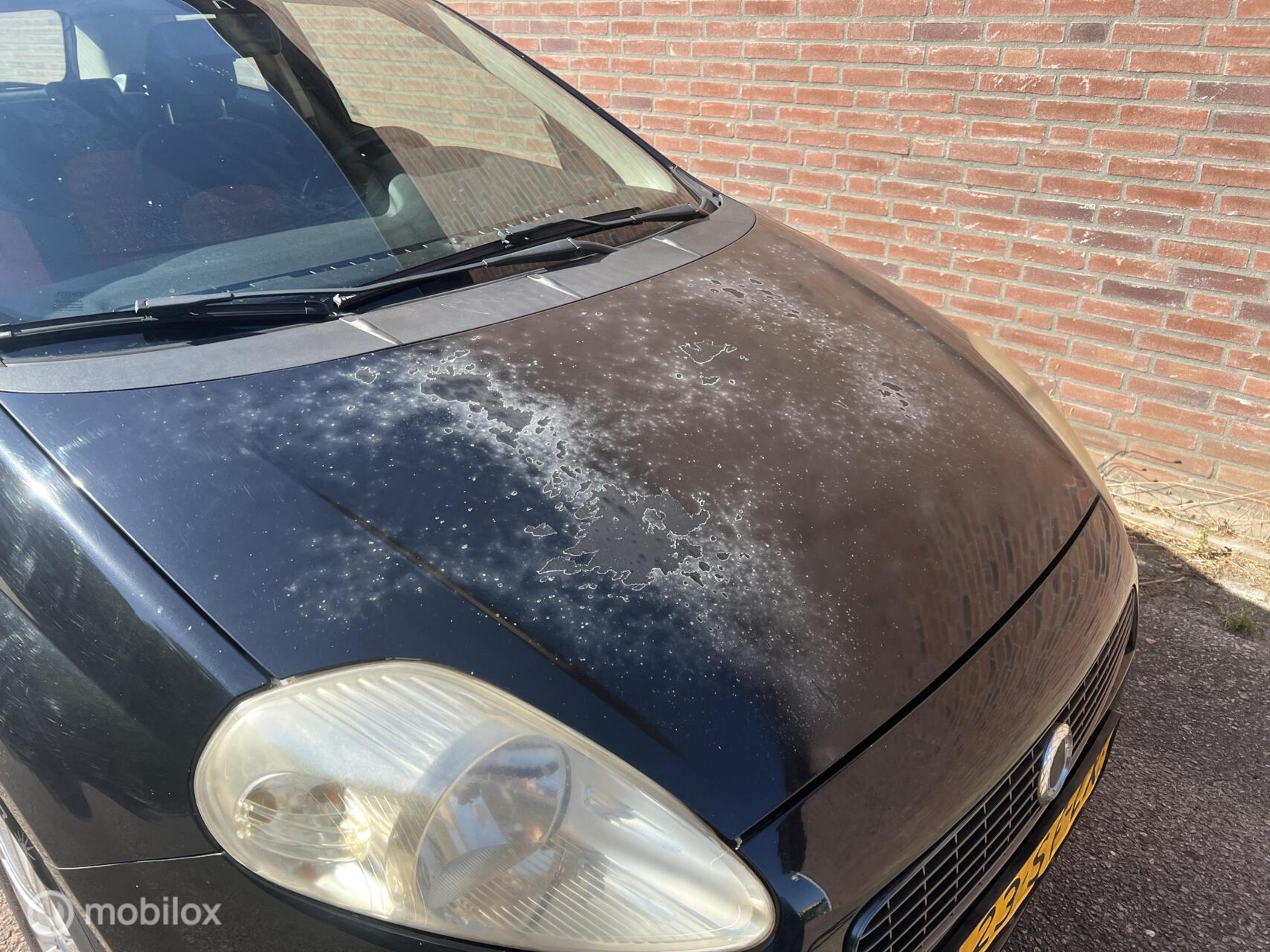 Foto van Fiat Fiat Punto