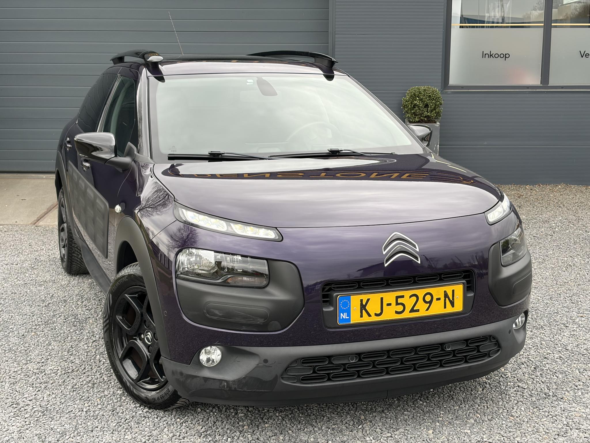 Foto van Citroen C4 Cactus