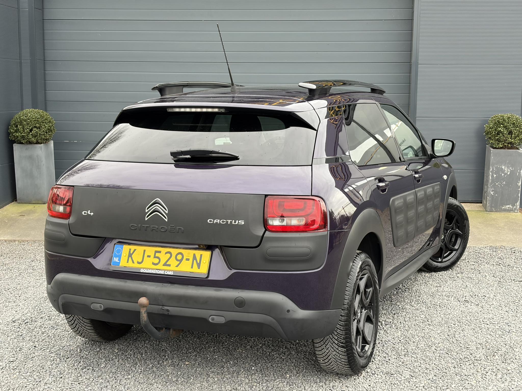 Foto van Citroen C4 Cactus