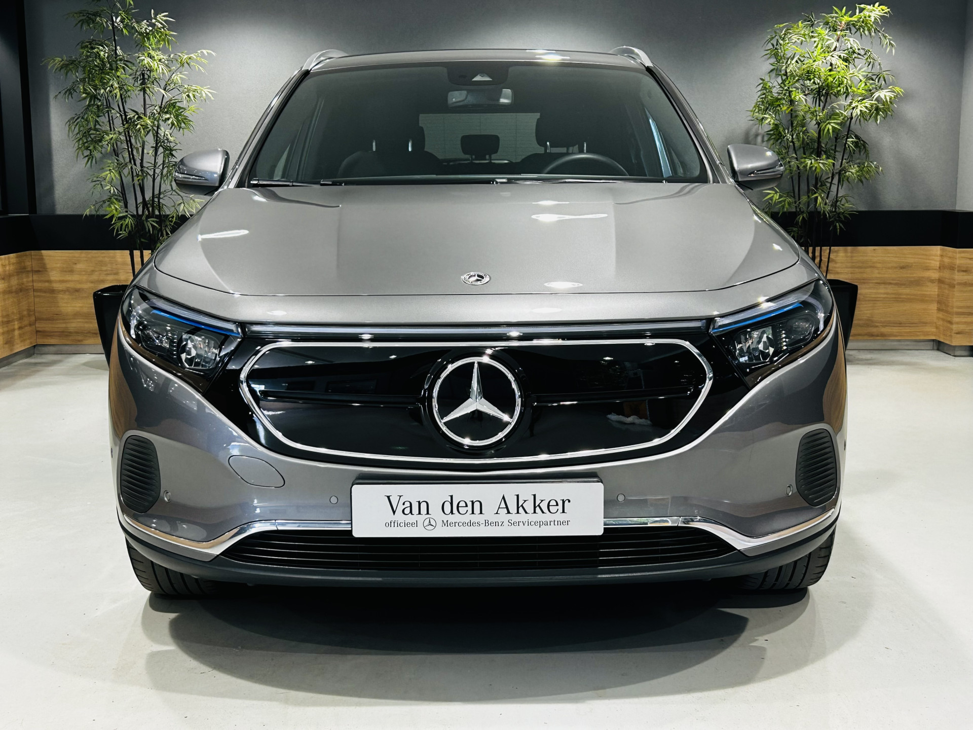 Foto van Mercedes-Benz Eqa 250