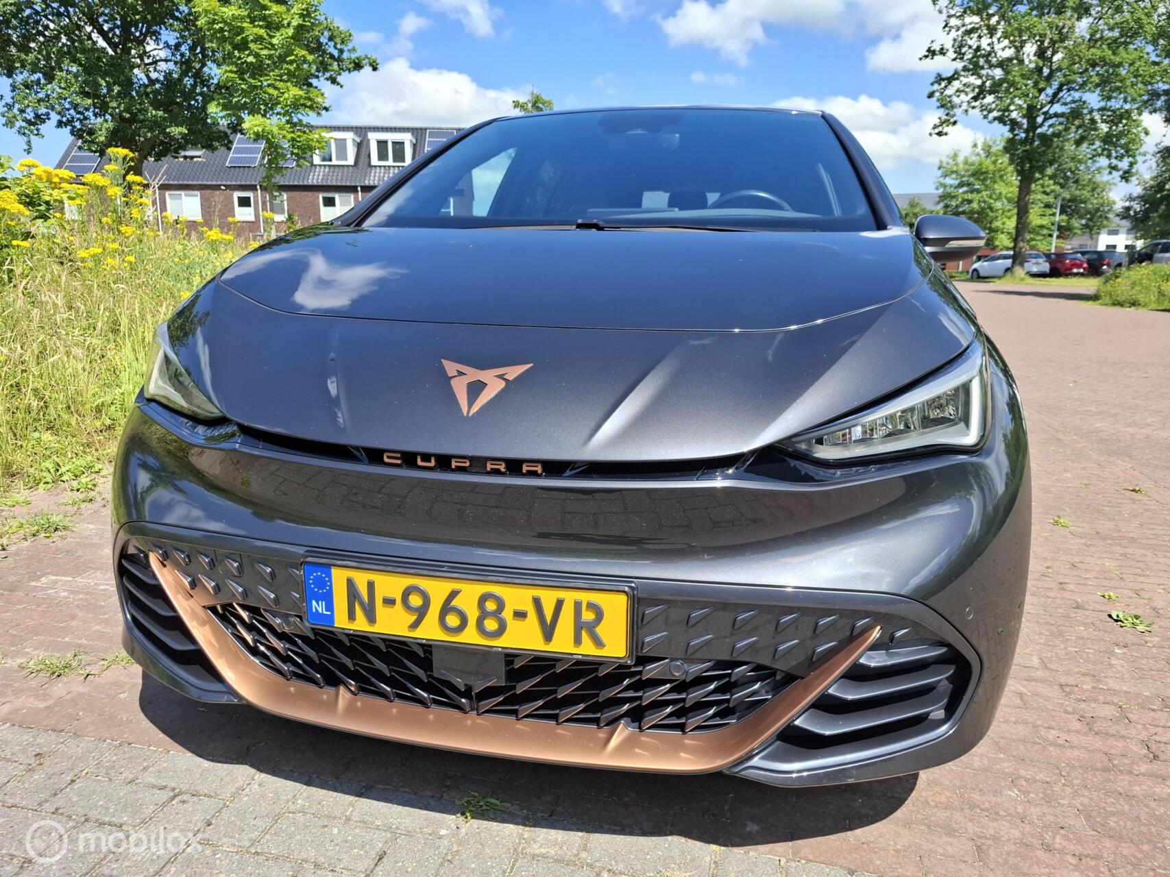 Foto van Cupra Born