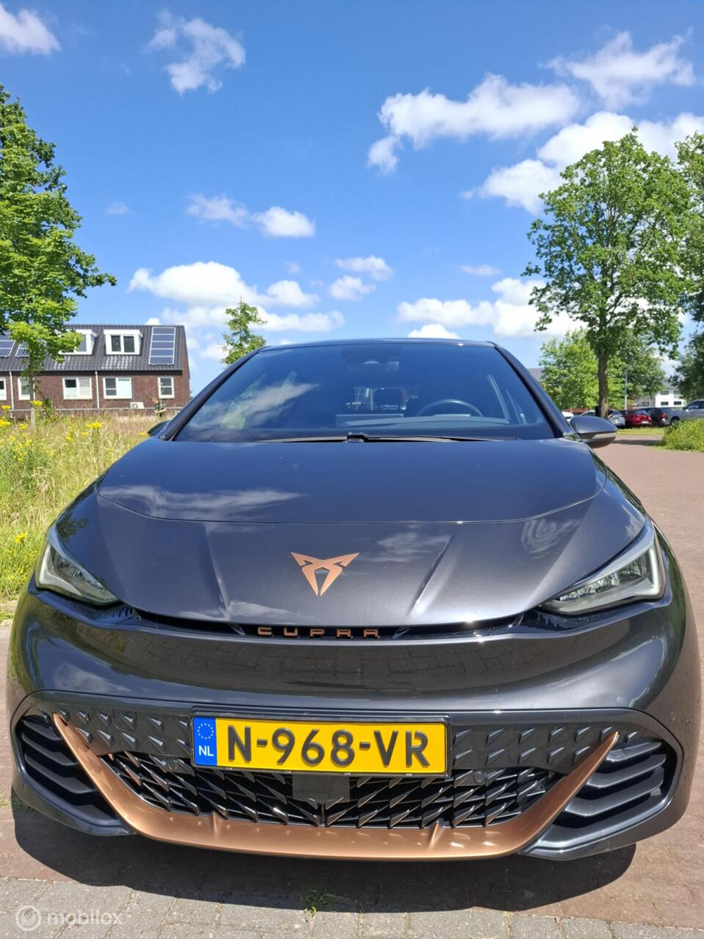 Foto van Cupra Born