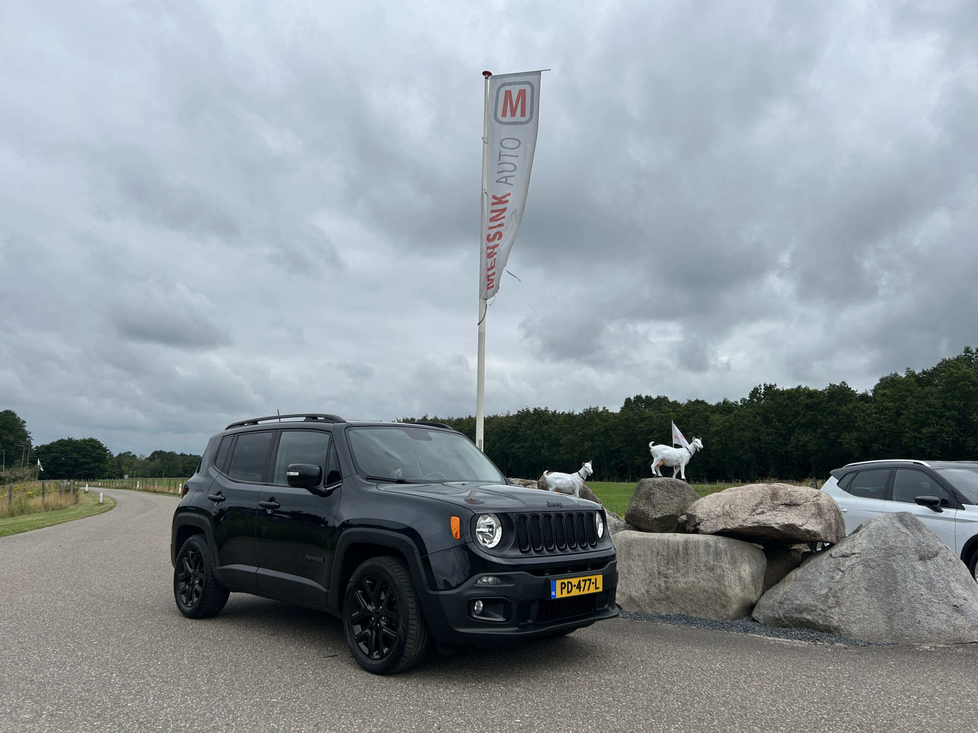 Foto van Jeep Renegade