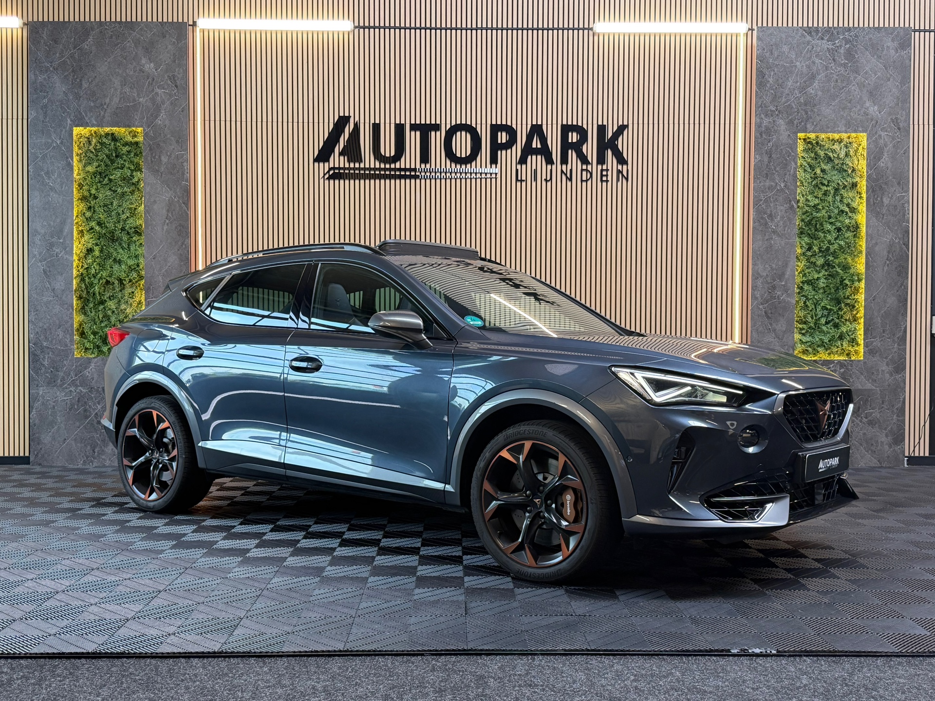 Foto van Cupra Formentor