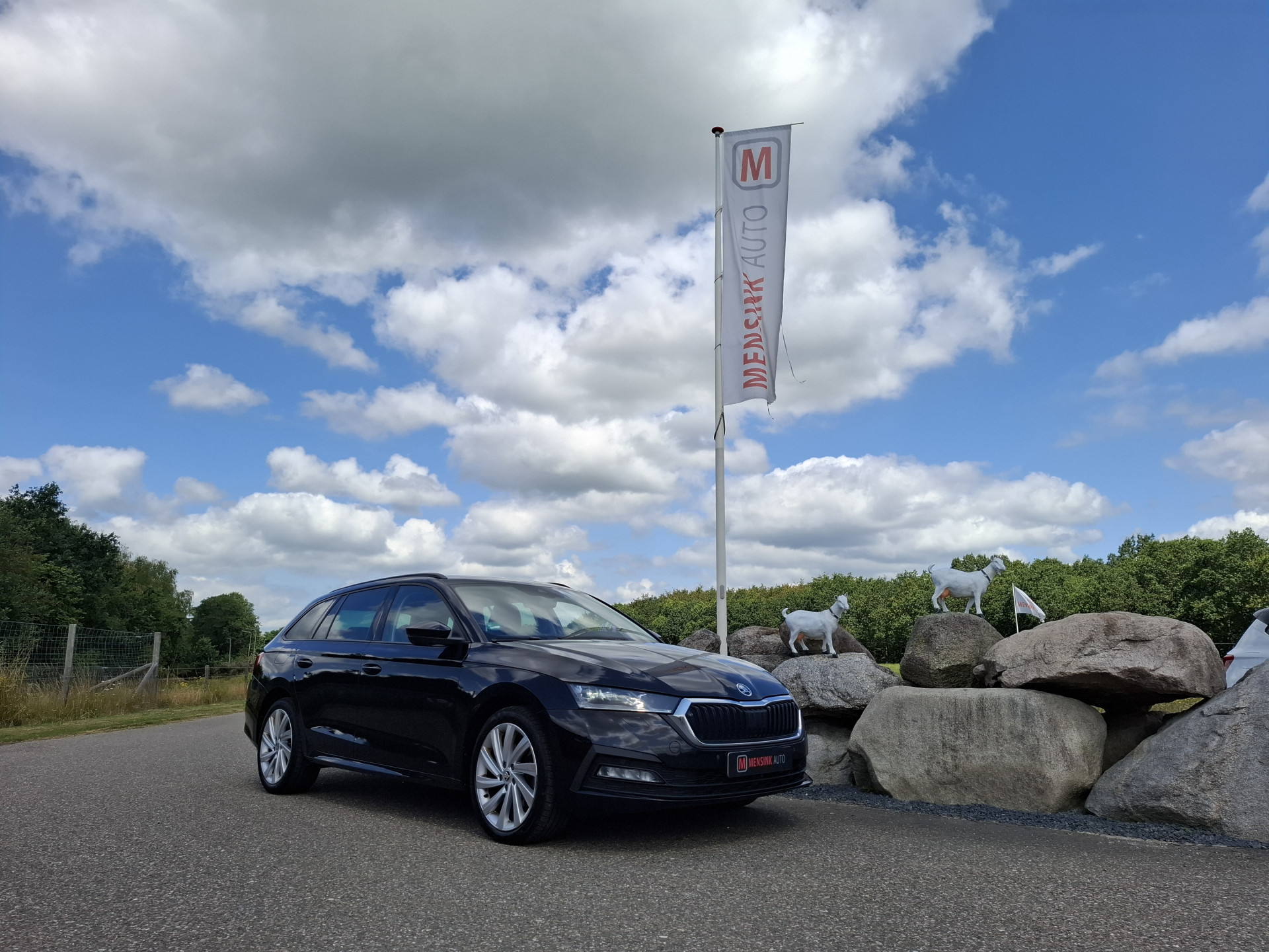 Foto van Škoda Octavia