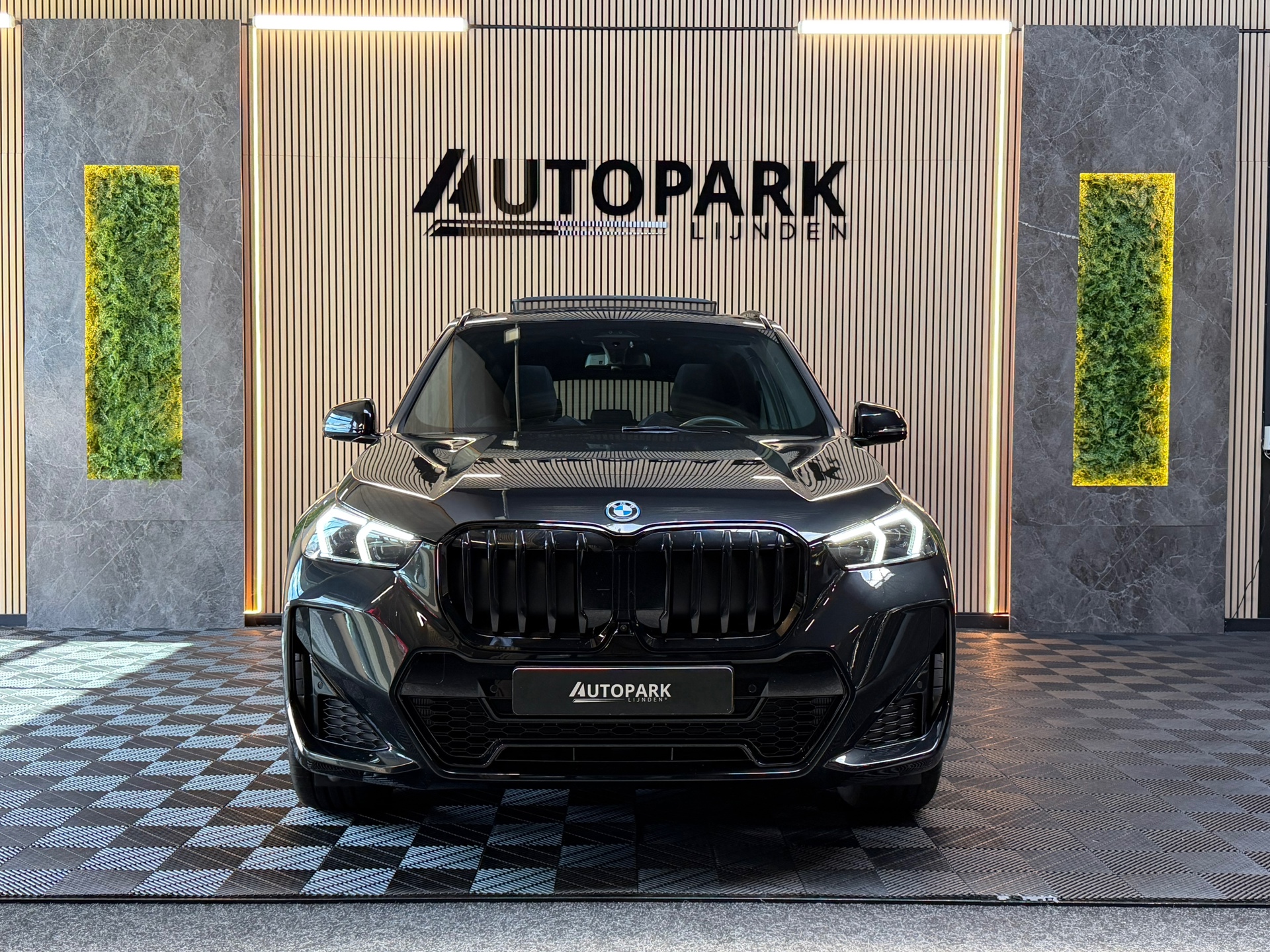 Foto van BMW X1 Xdrive25e