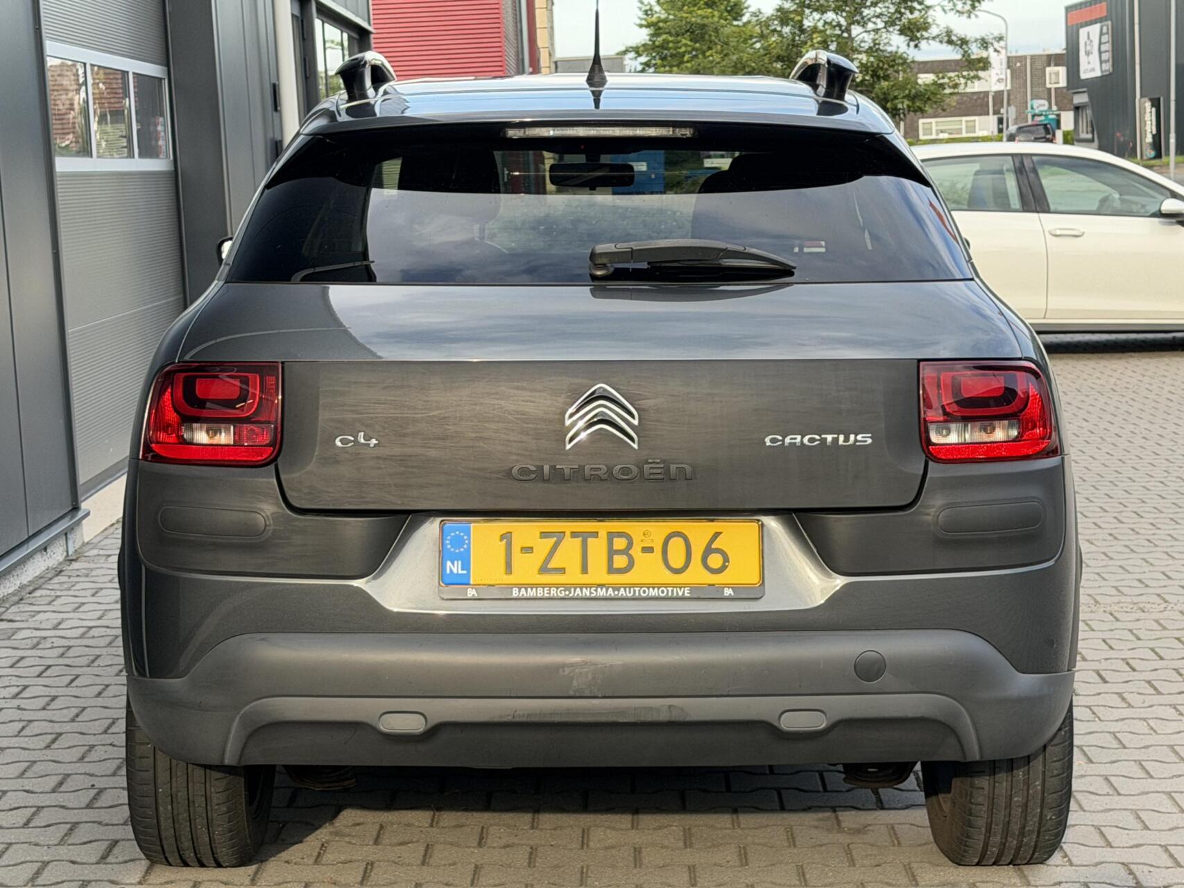 Foto van Citroen C4 Cactus