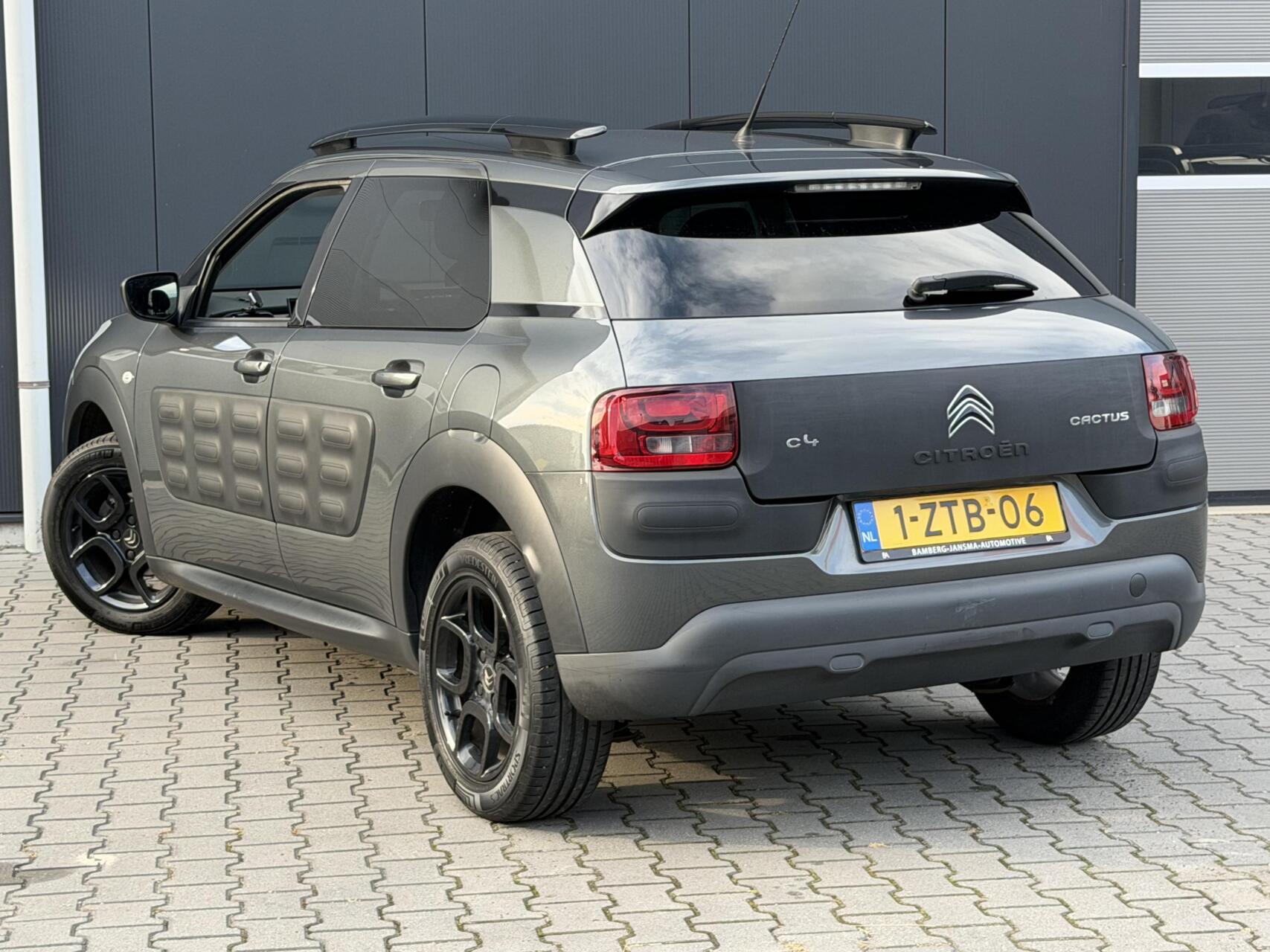 Foto van Citroen C4 Cactus