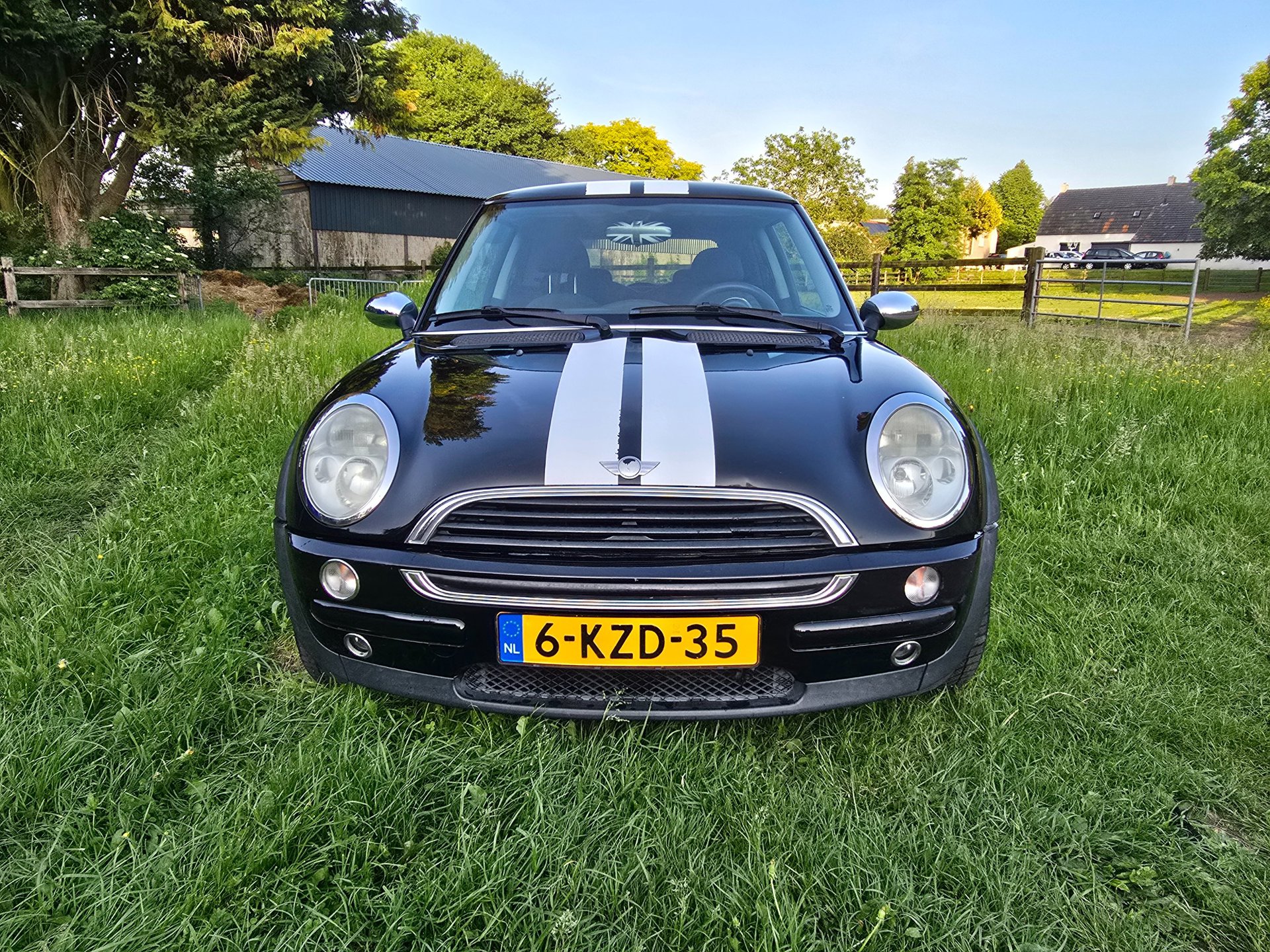 Foto van Mini Mini One