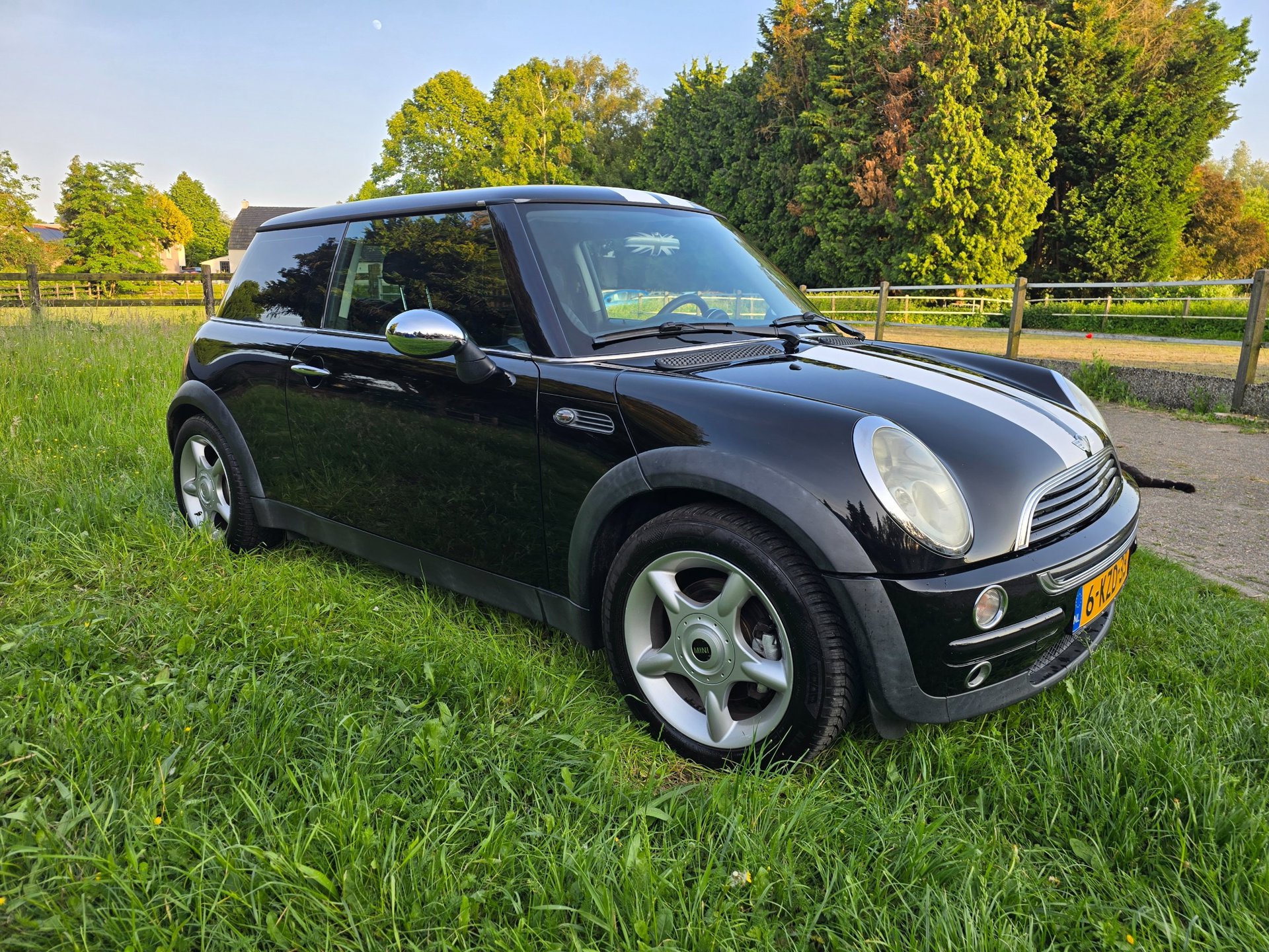 Foto van Mini Mini One
