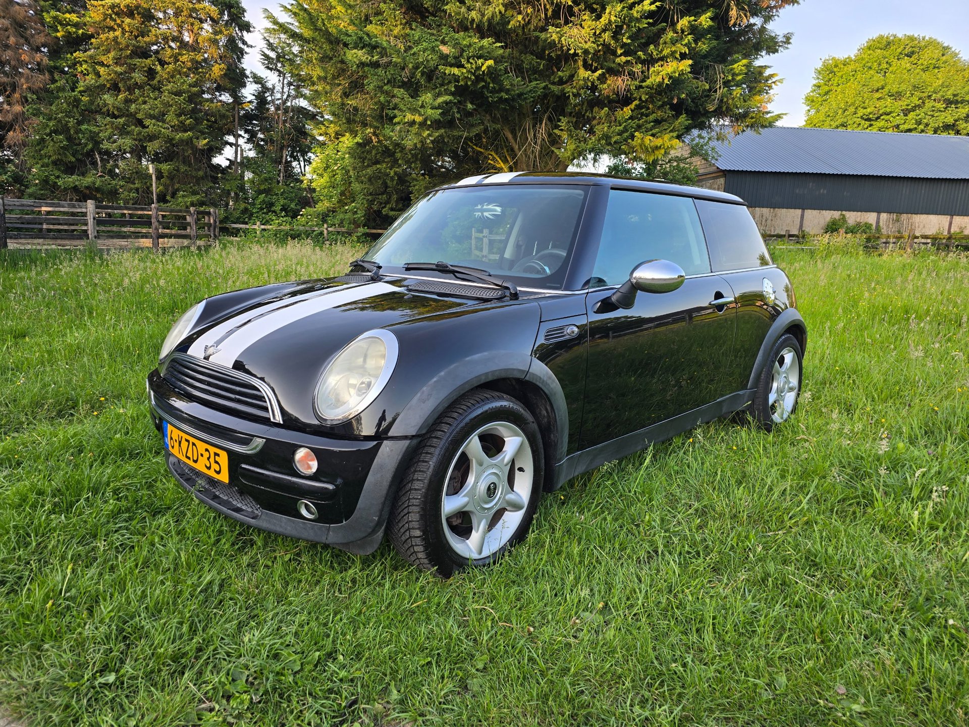Foto van Mini Mini One