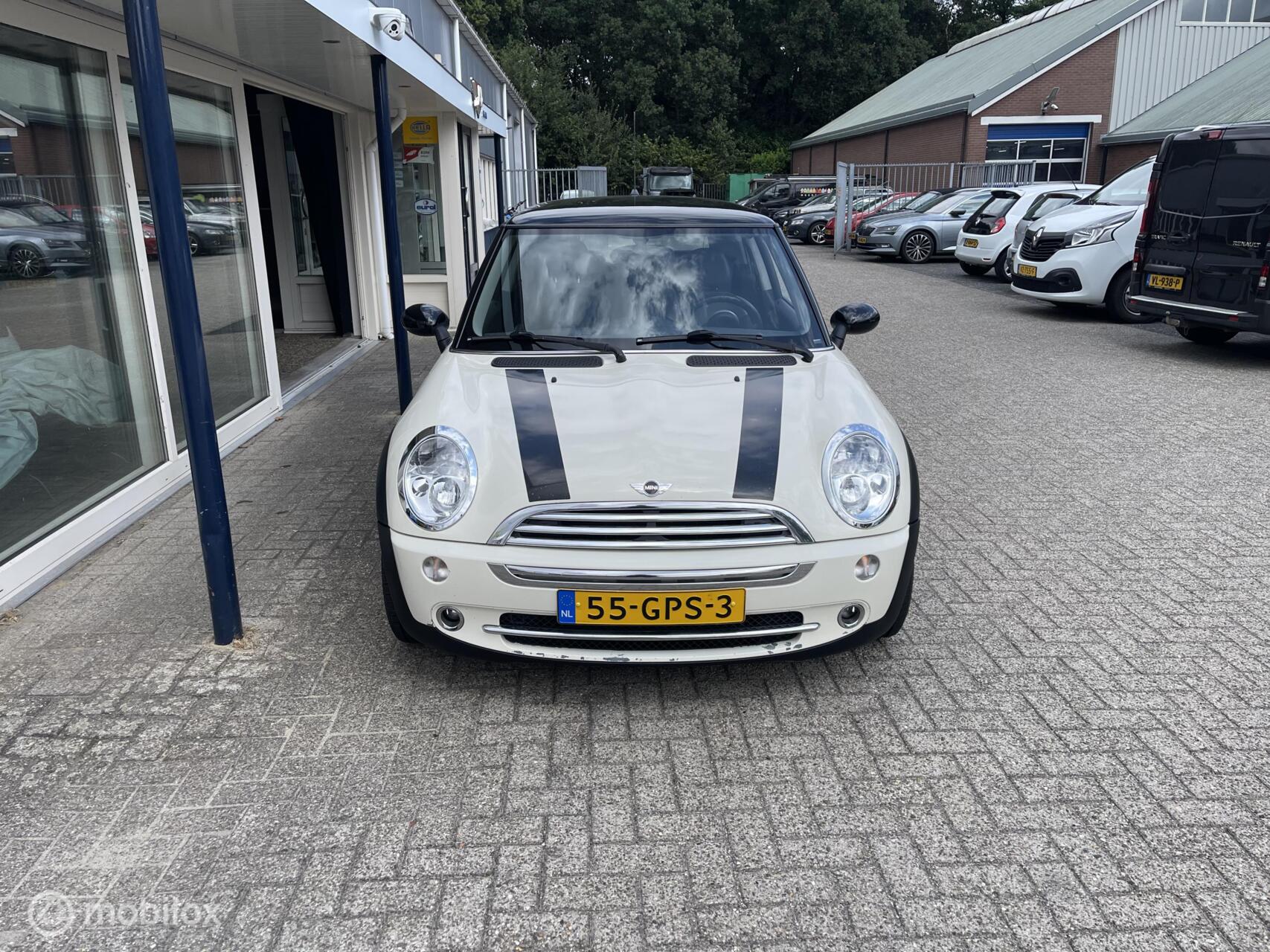 Foto van Mini Mini Cooper