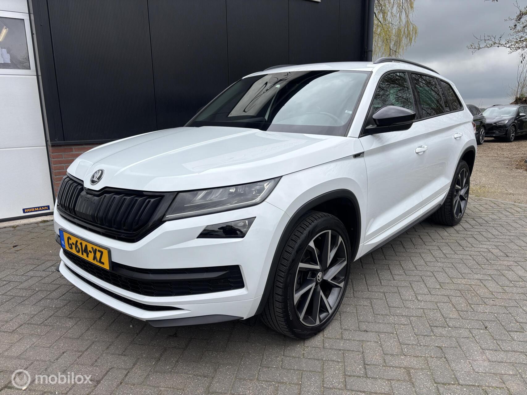 Foto van Skoda Kodiaq