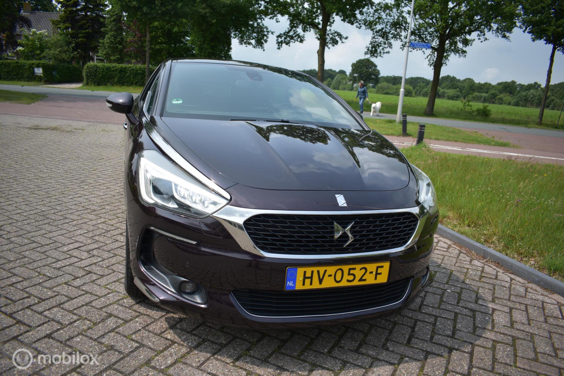 Foto van DS 5