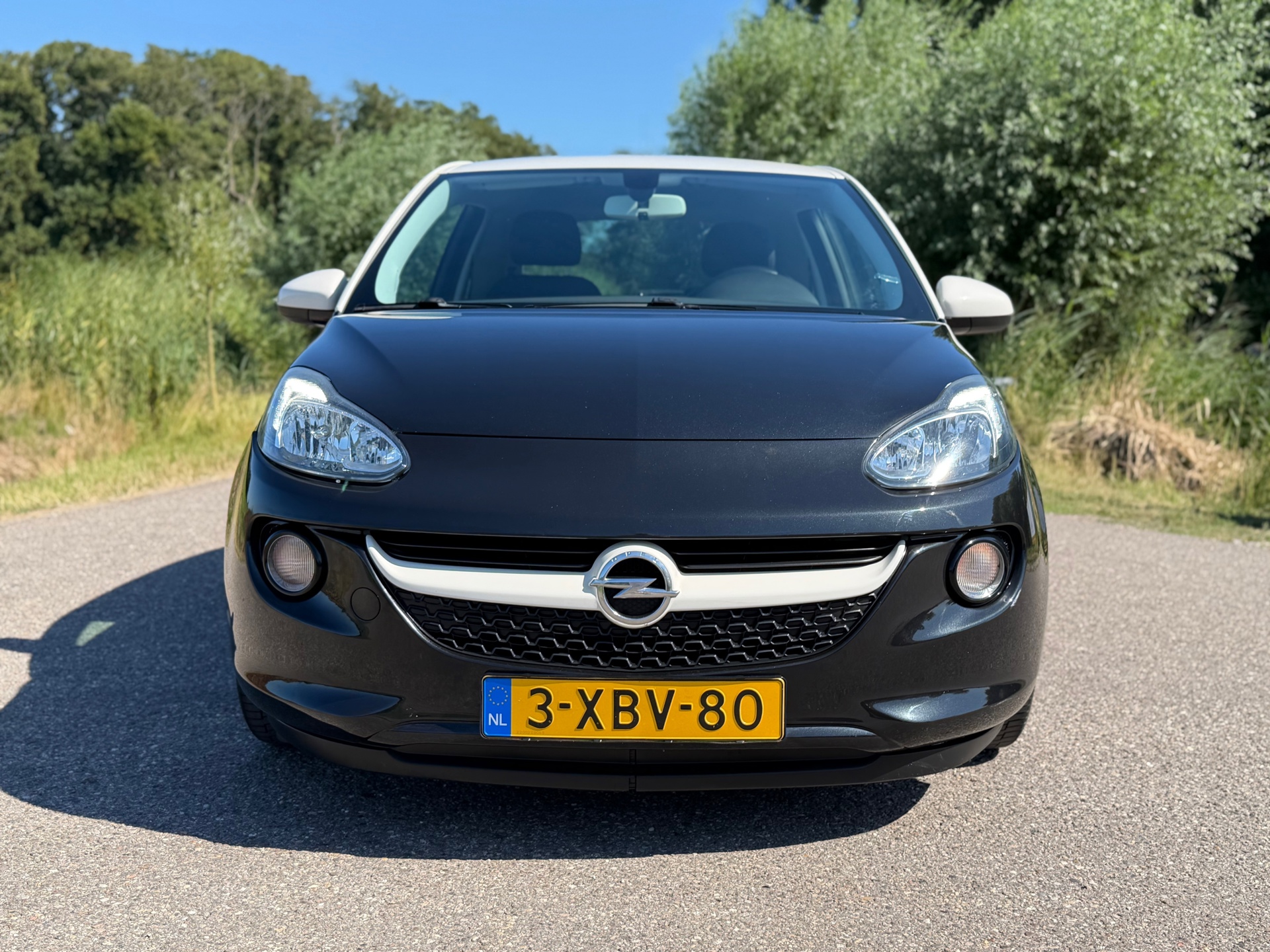 Foto van Opel Adam