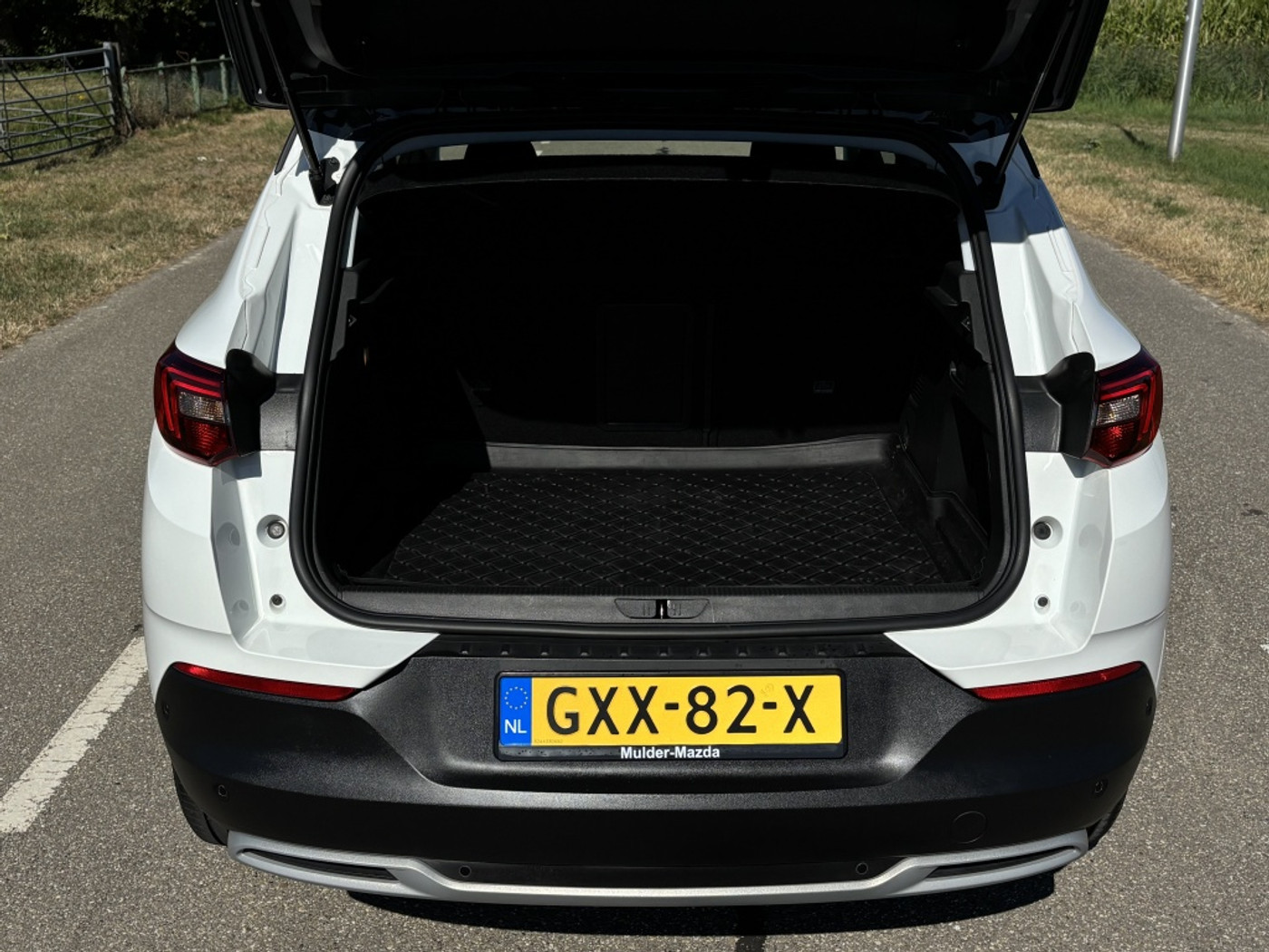 Foto van Opel Grandland X