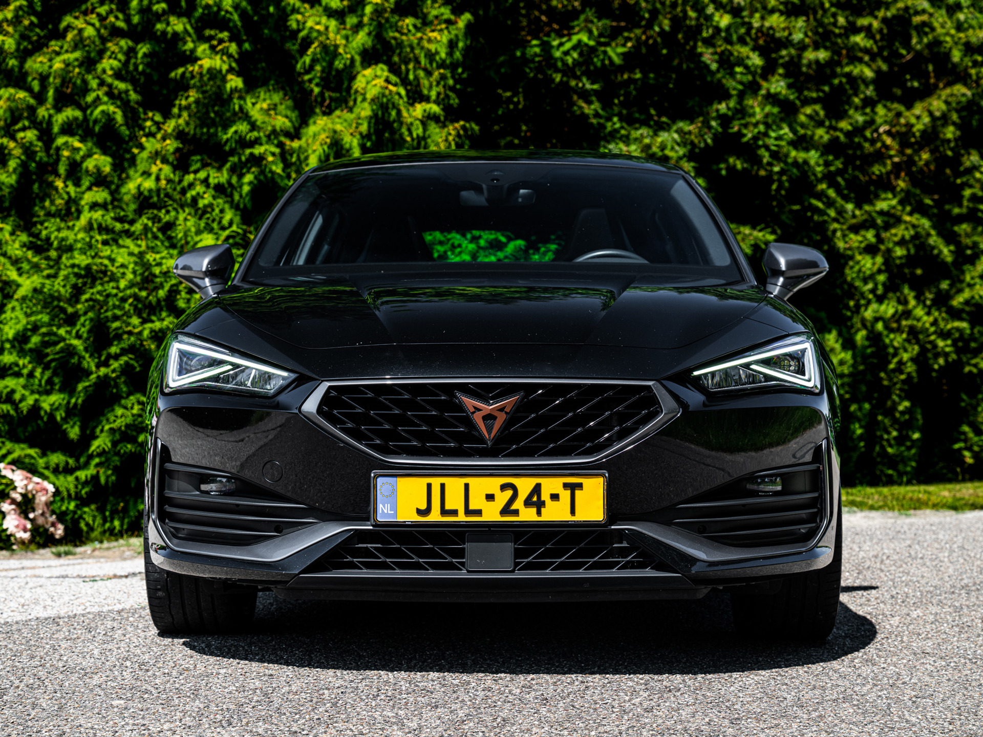 Foto van Cupra Cupra Leon E-hybrid180