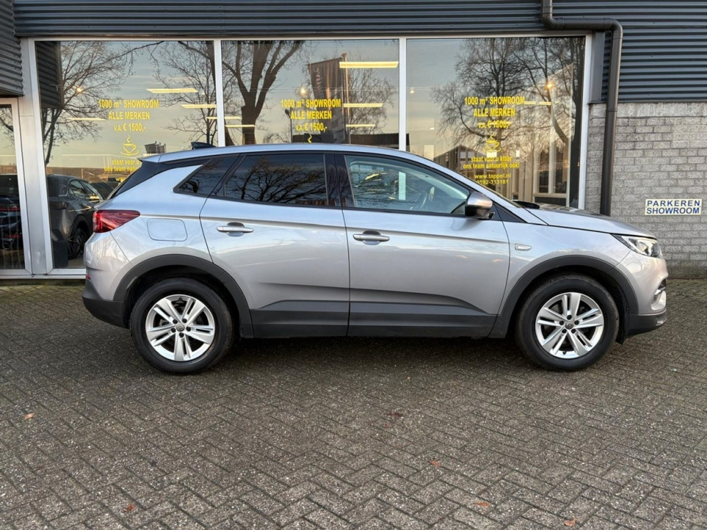 Foto van Opel Grandland X