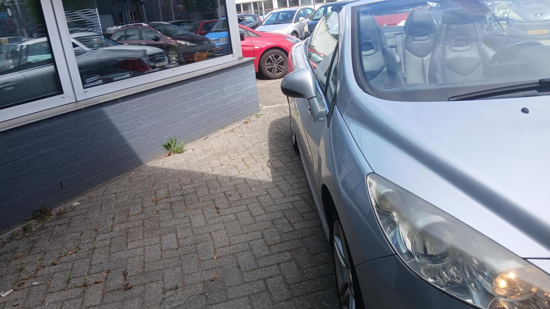 Foto van Peugeot 308