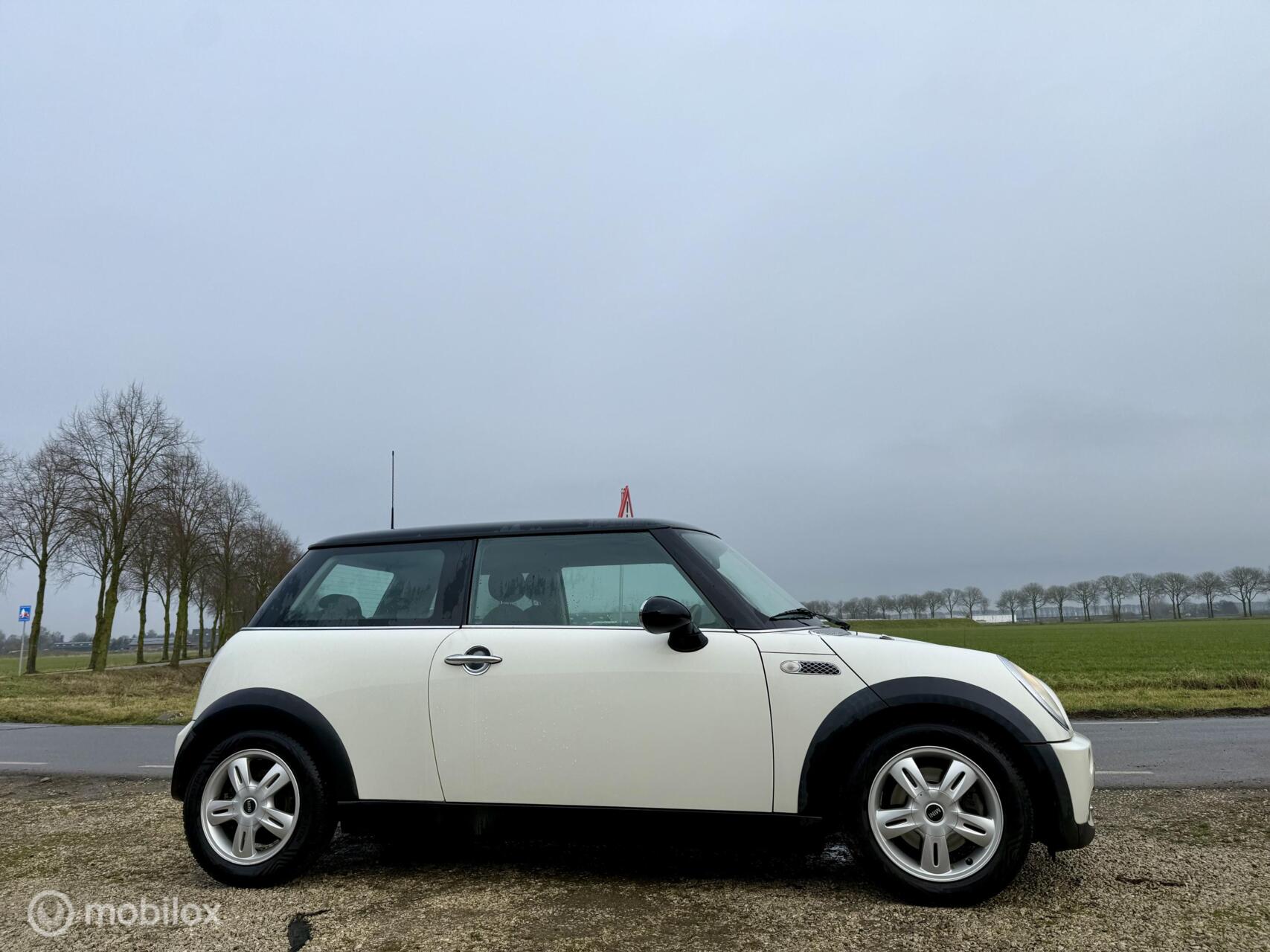 Foto van Mini Mini Cooper