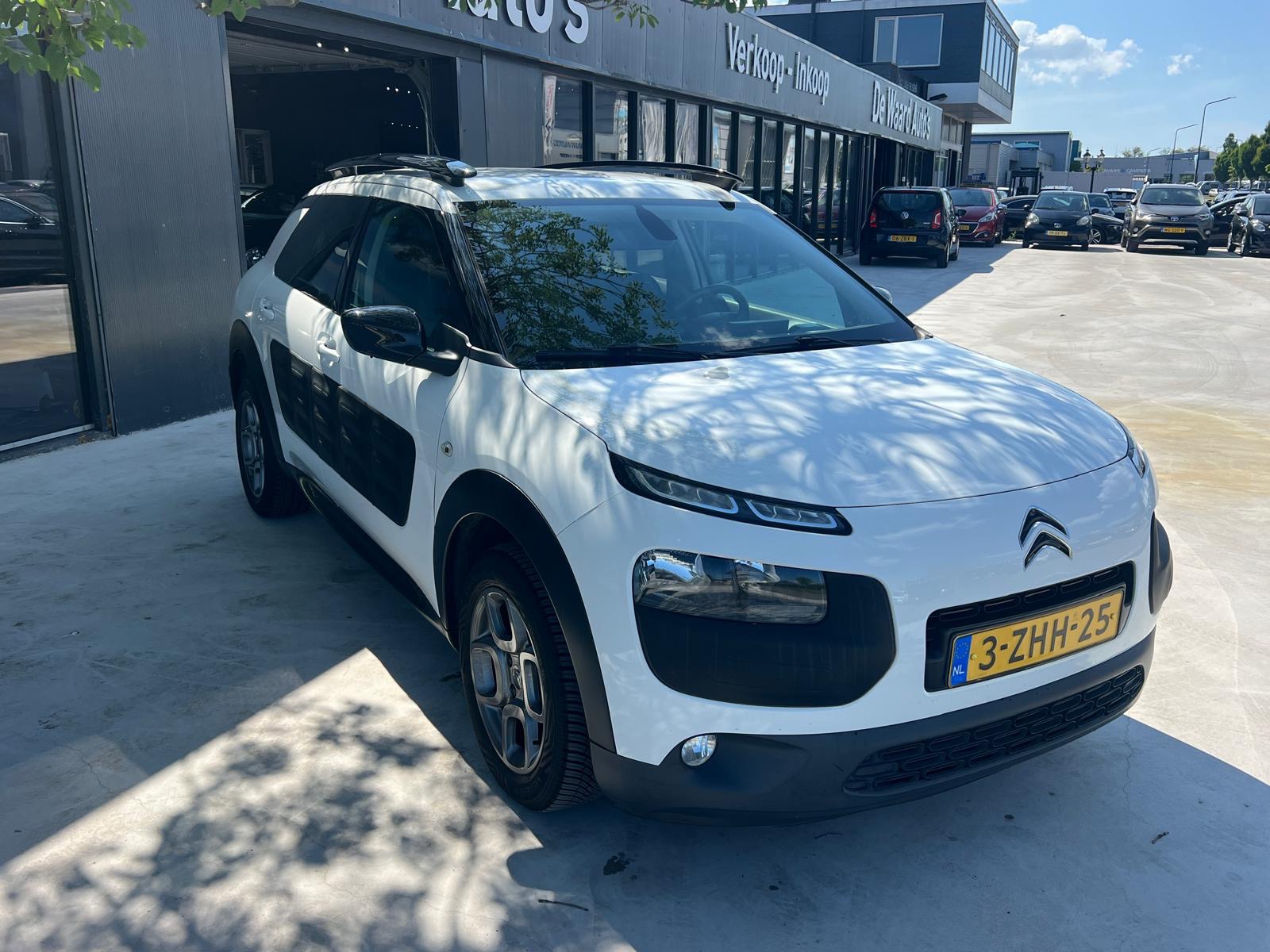 Foto van Citroen C4 Cactus