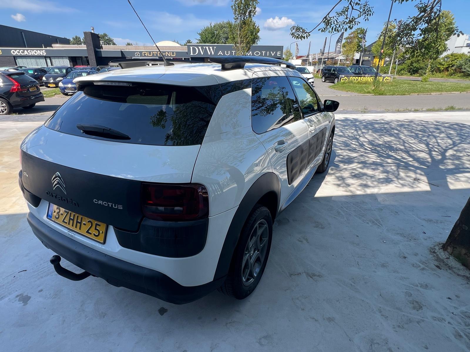 Foto van Citroen C4 Cactus