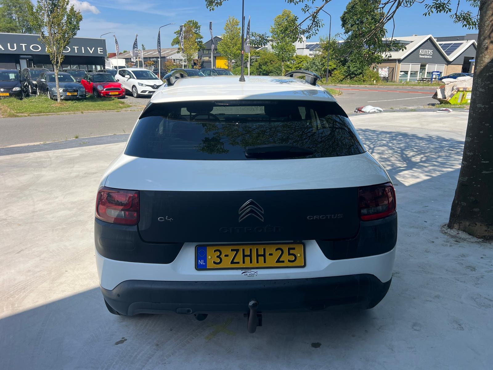 Foto van Citroen C4 Cactus