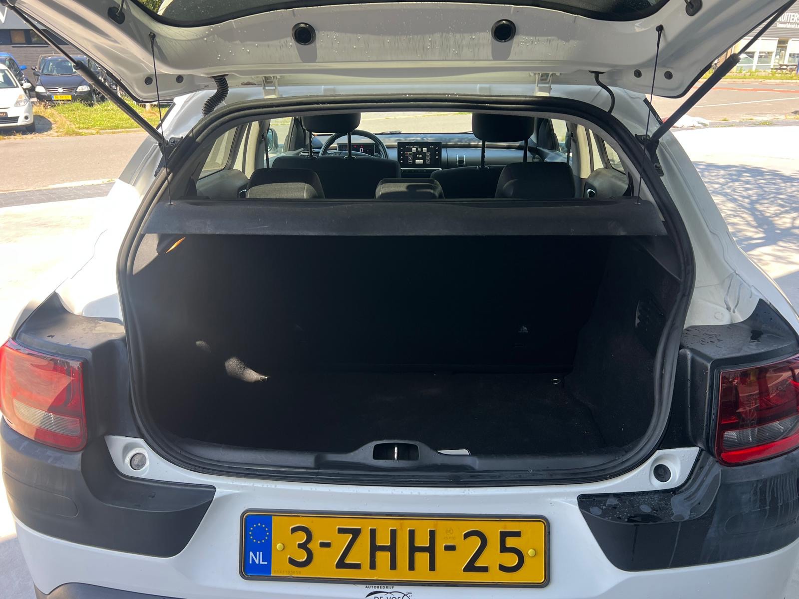 Foto van Citroen C4 Cactus