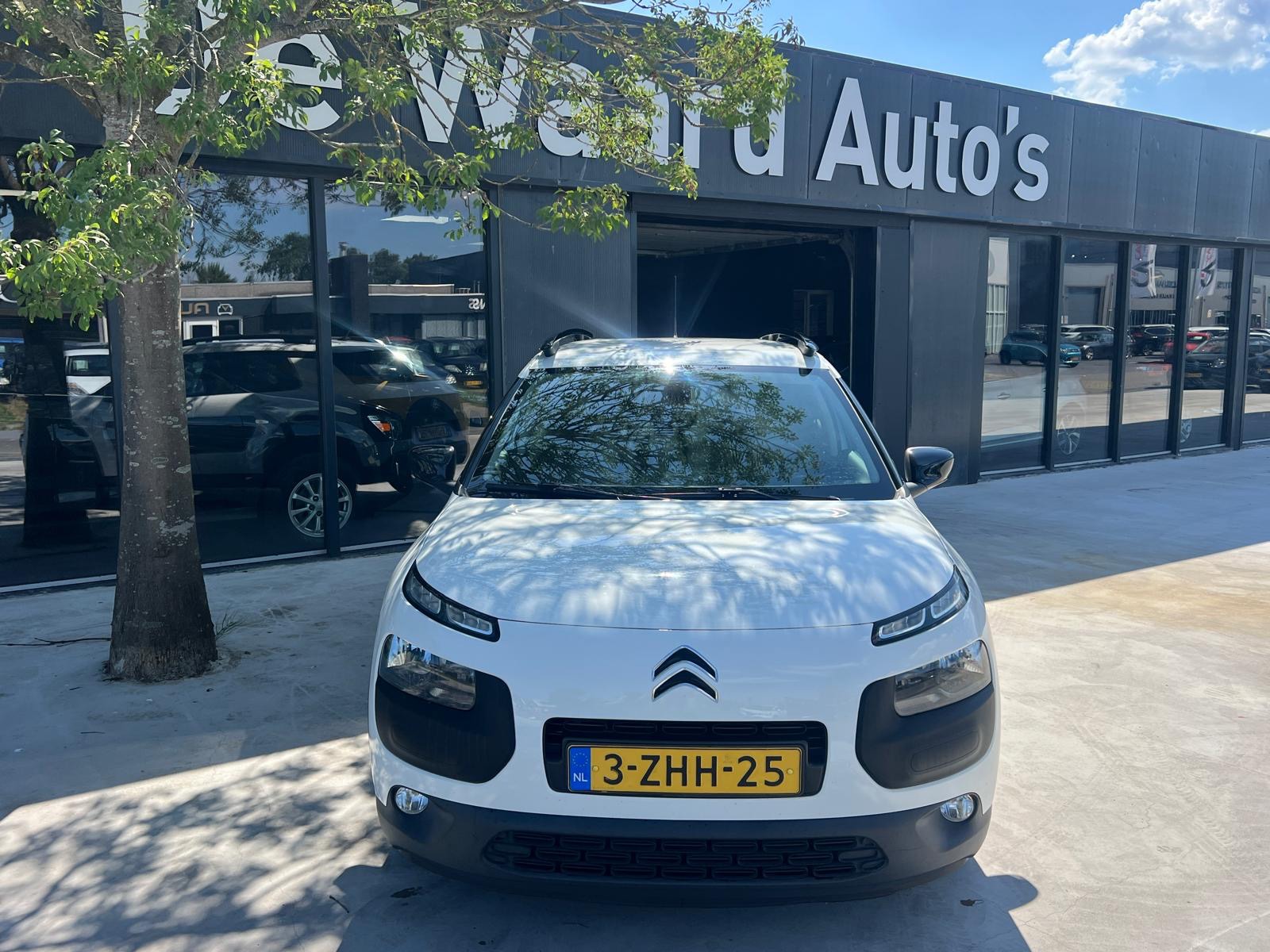 Foto van Citroen C4 Cactus