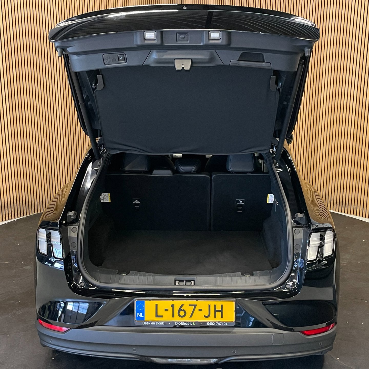 Foto van Ford Mustang Mach-e