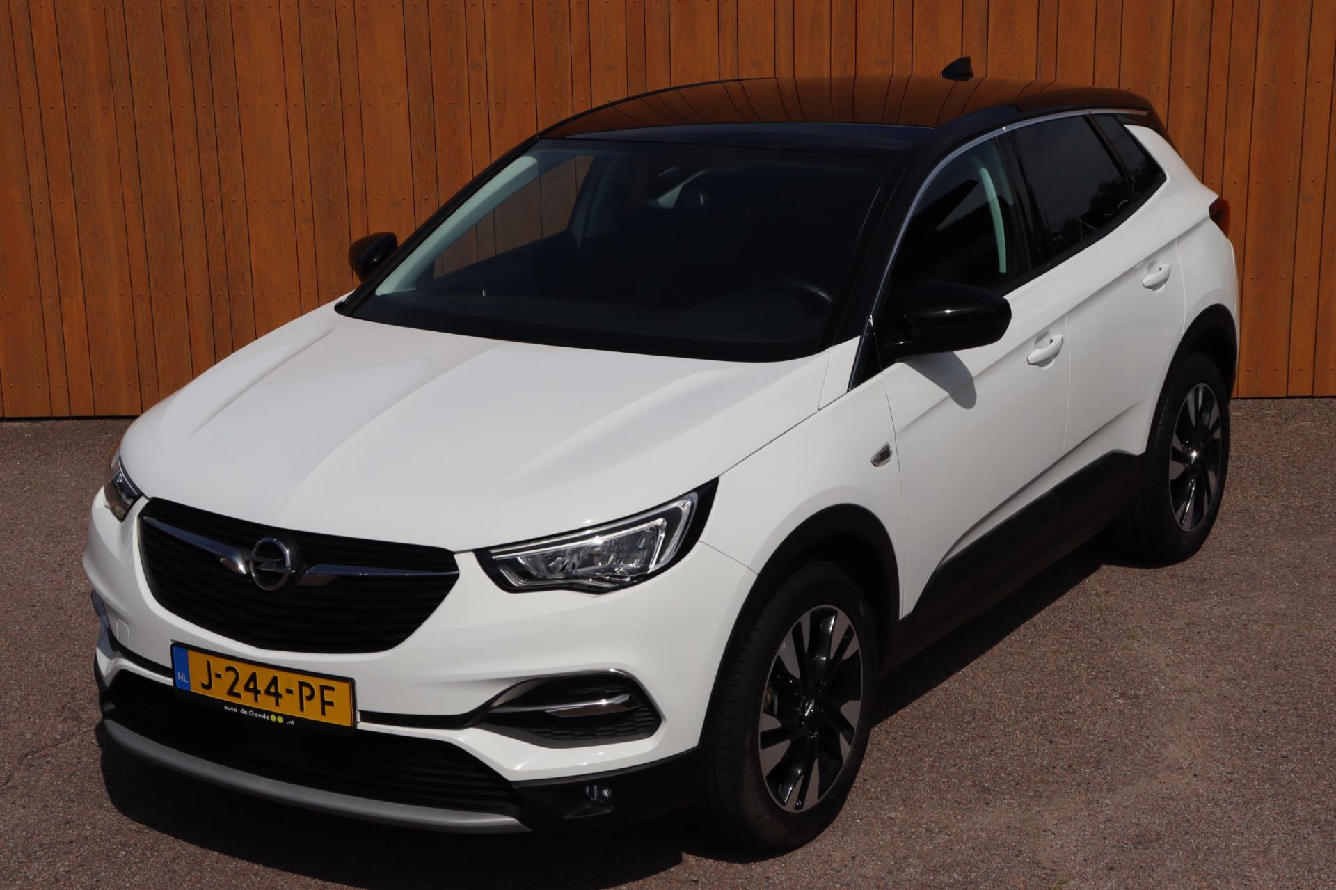 Foto van Opel Grandland X