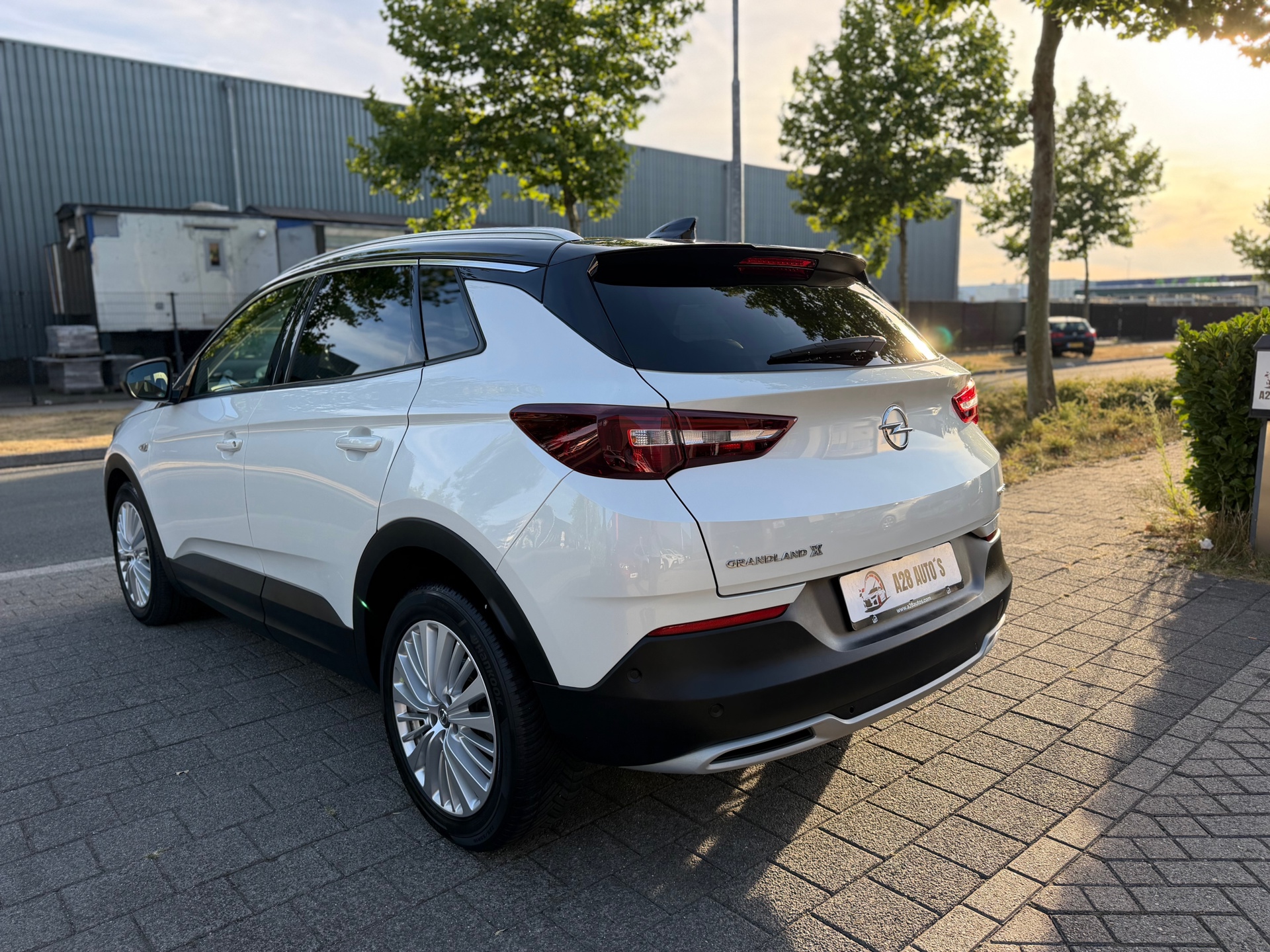 Foto van Opel Grandland X