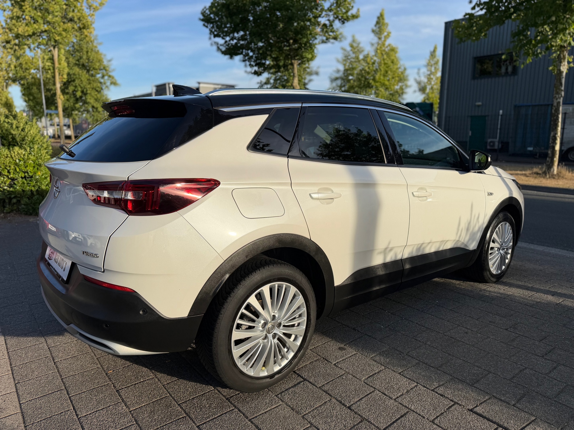 Foto van Opel Grandland X