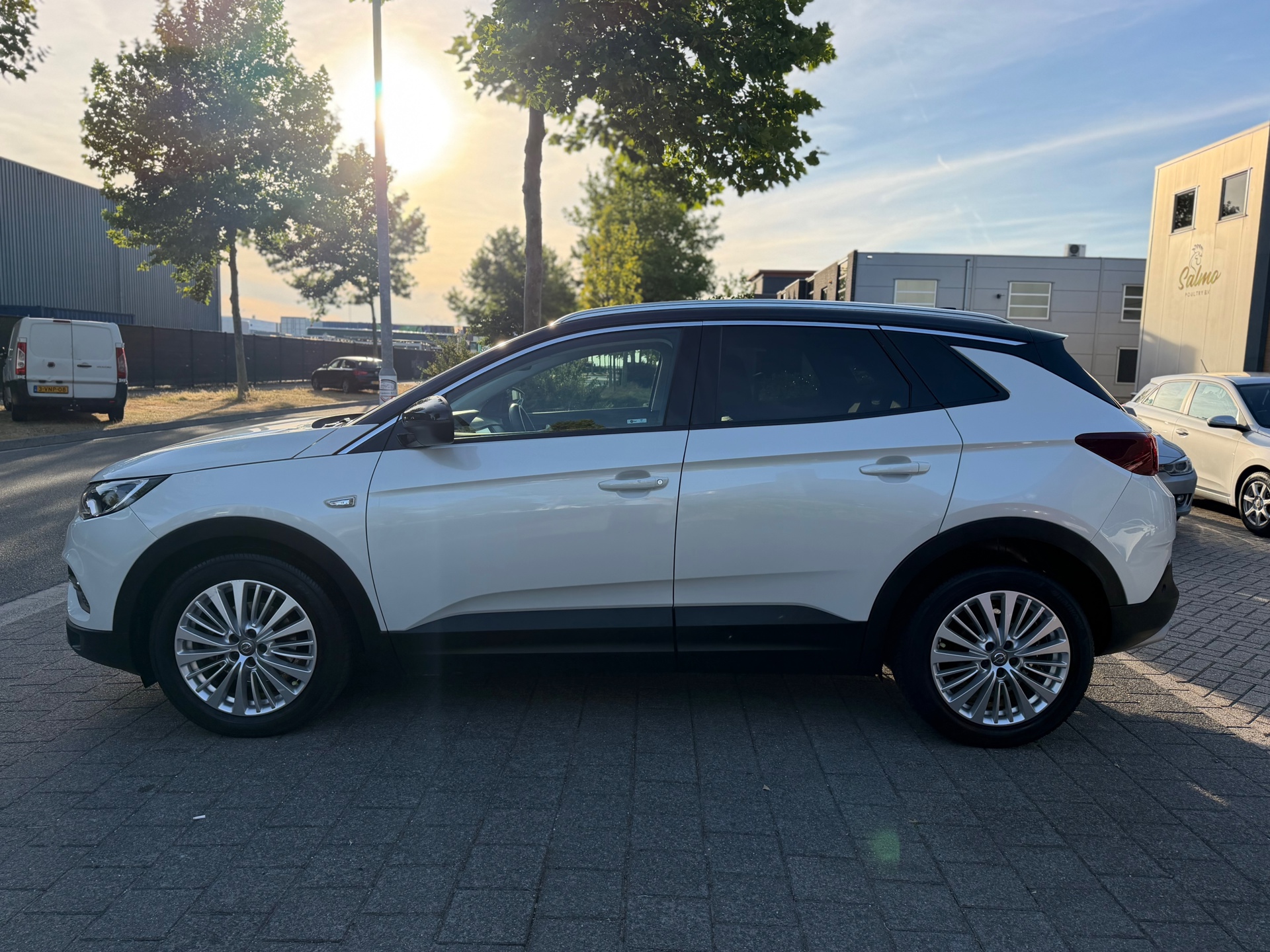 Foto van Opel Grandland X