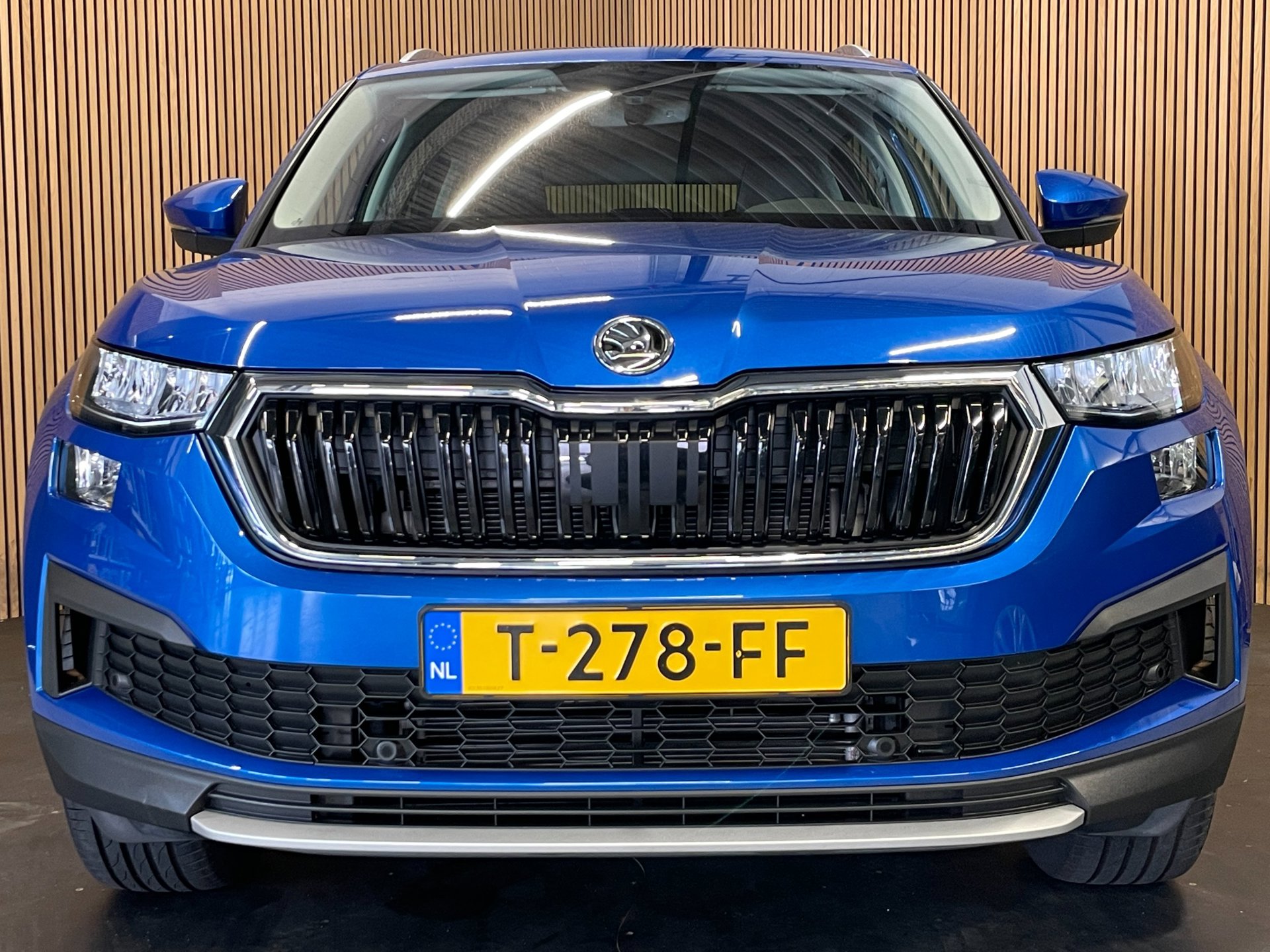 Foto van Skoda Kodiaq