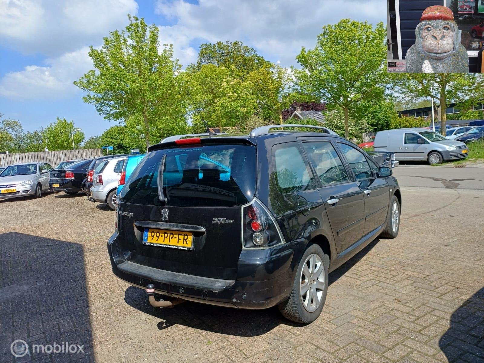 Foto van Peugeot 307
