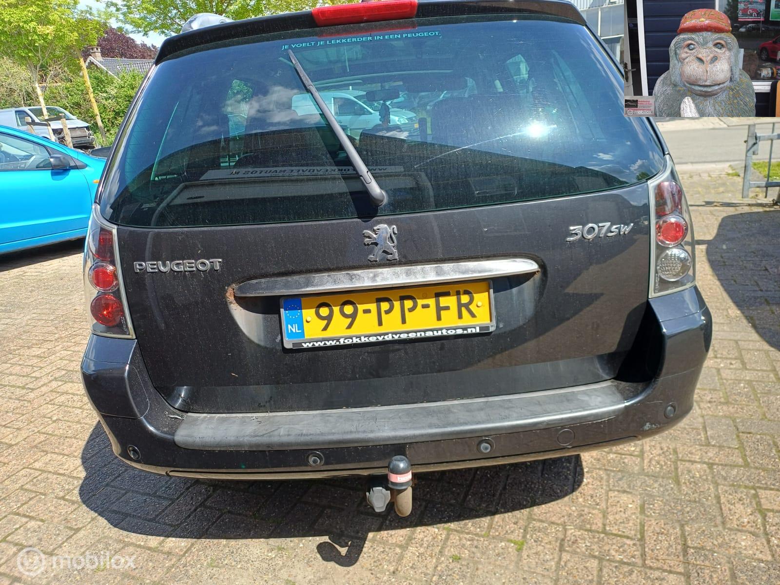 Foto van Peugeot 307