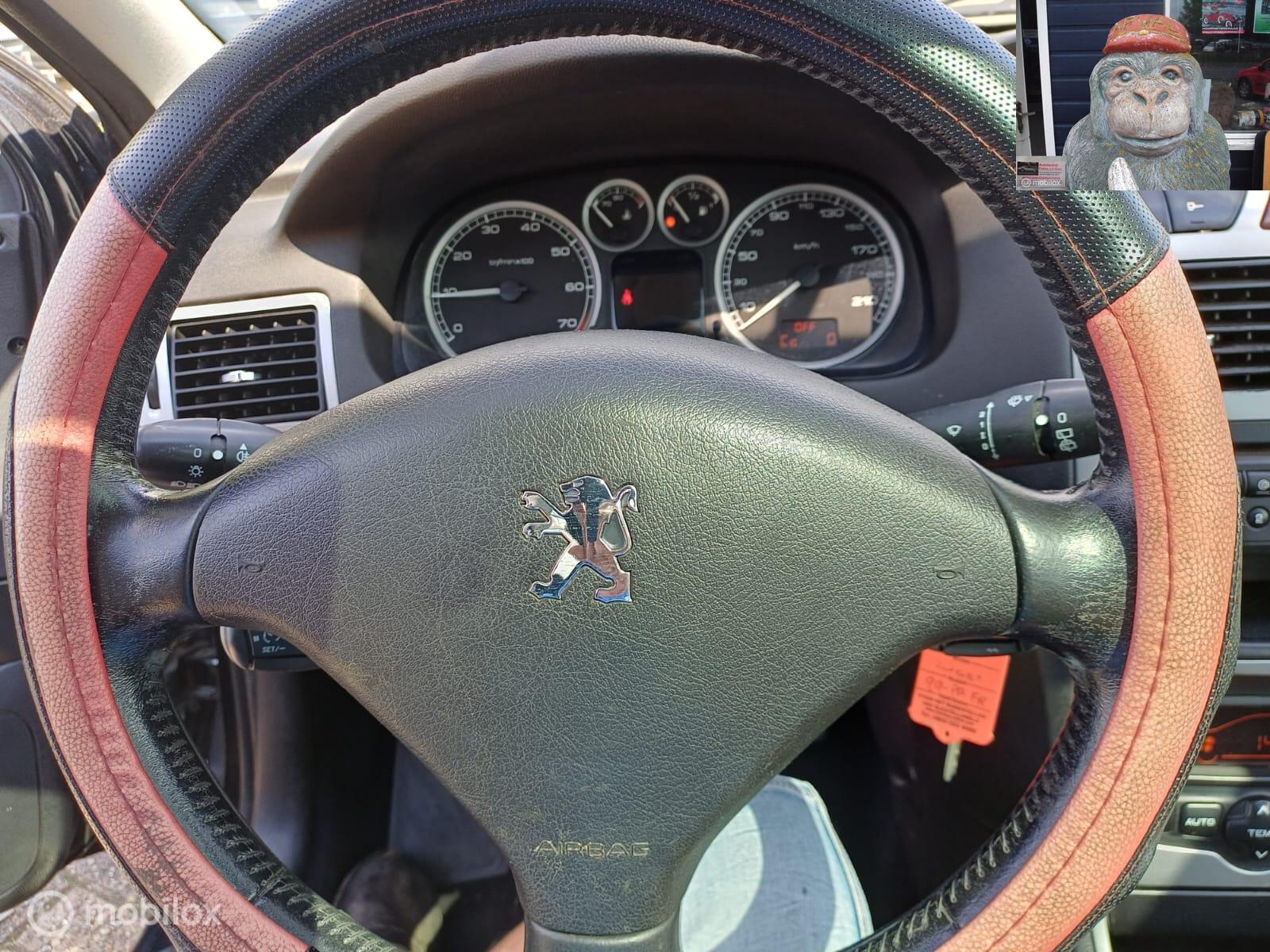 Foto van Peugeot 307