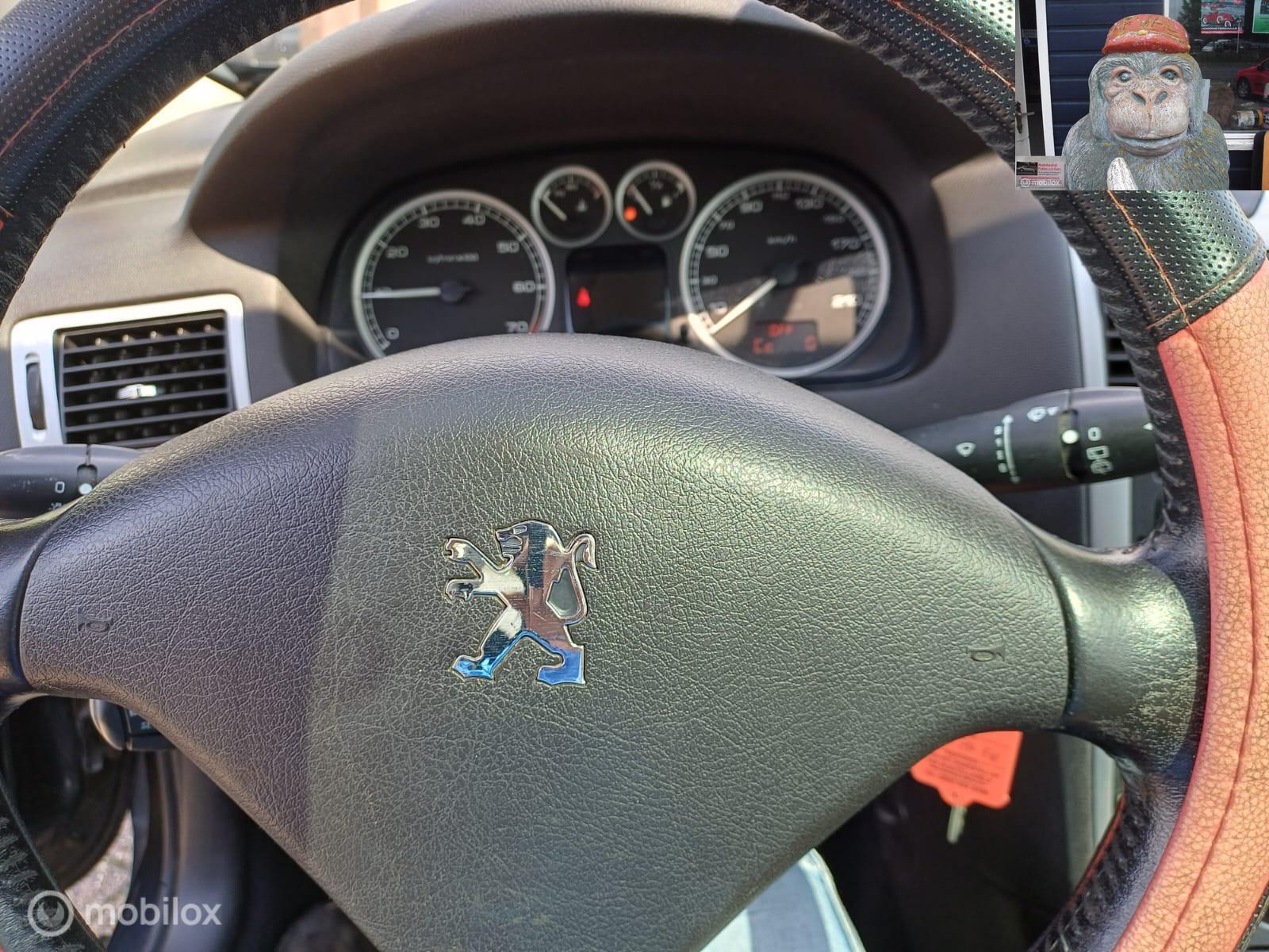 Foto van Peugeot 307