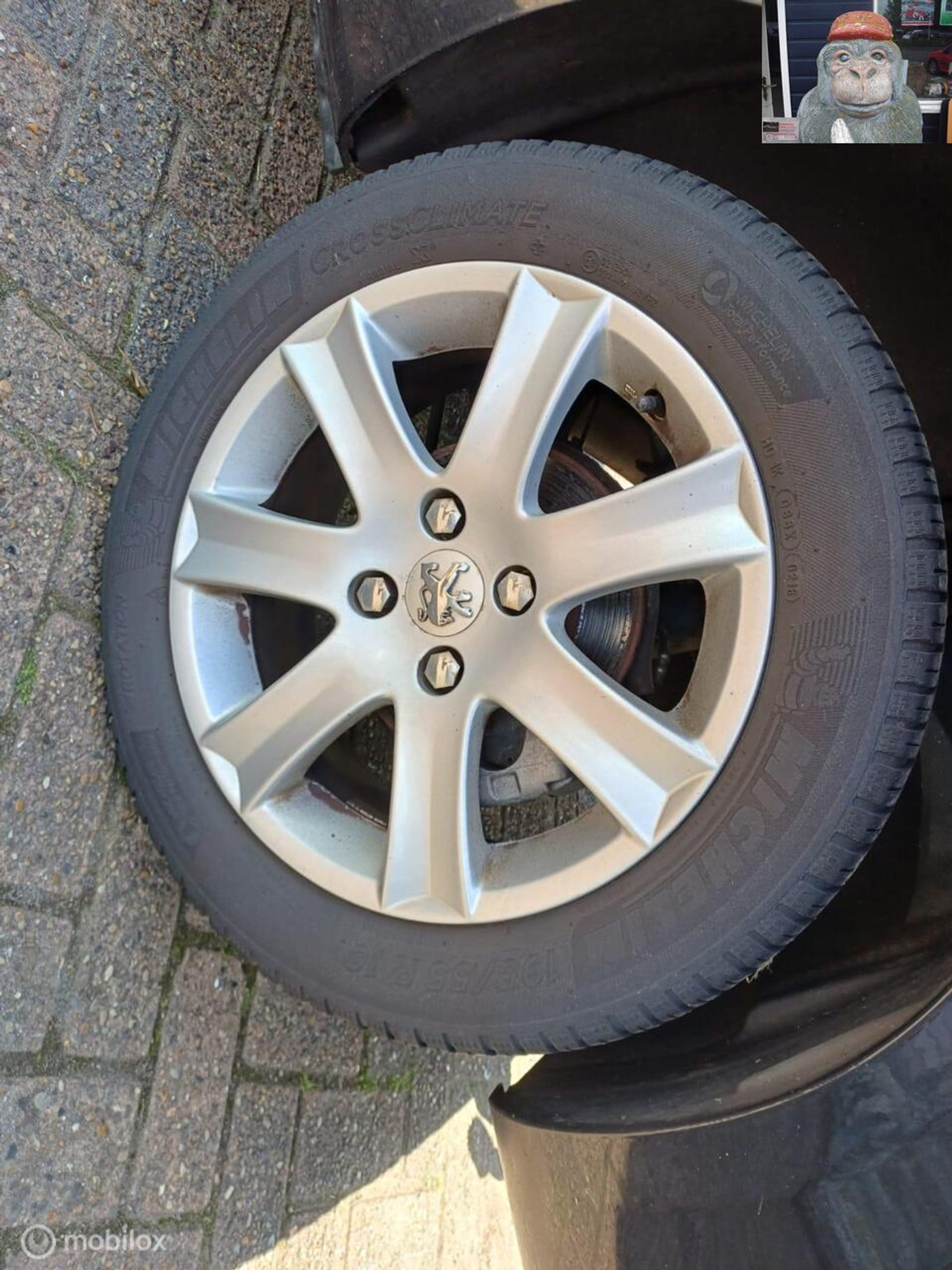 Foto van Peugeot 307